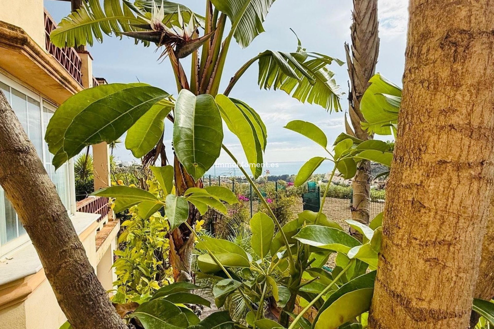 Resale - Detached villa - Casares - Casares Centro