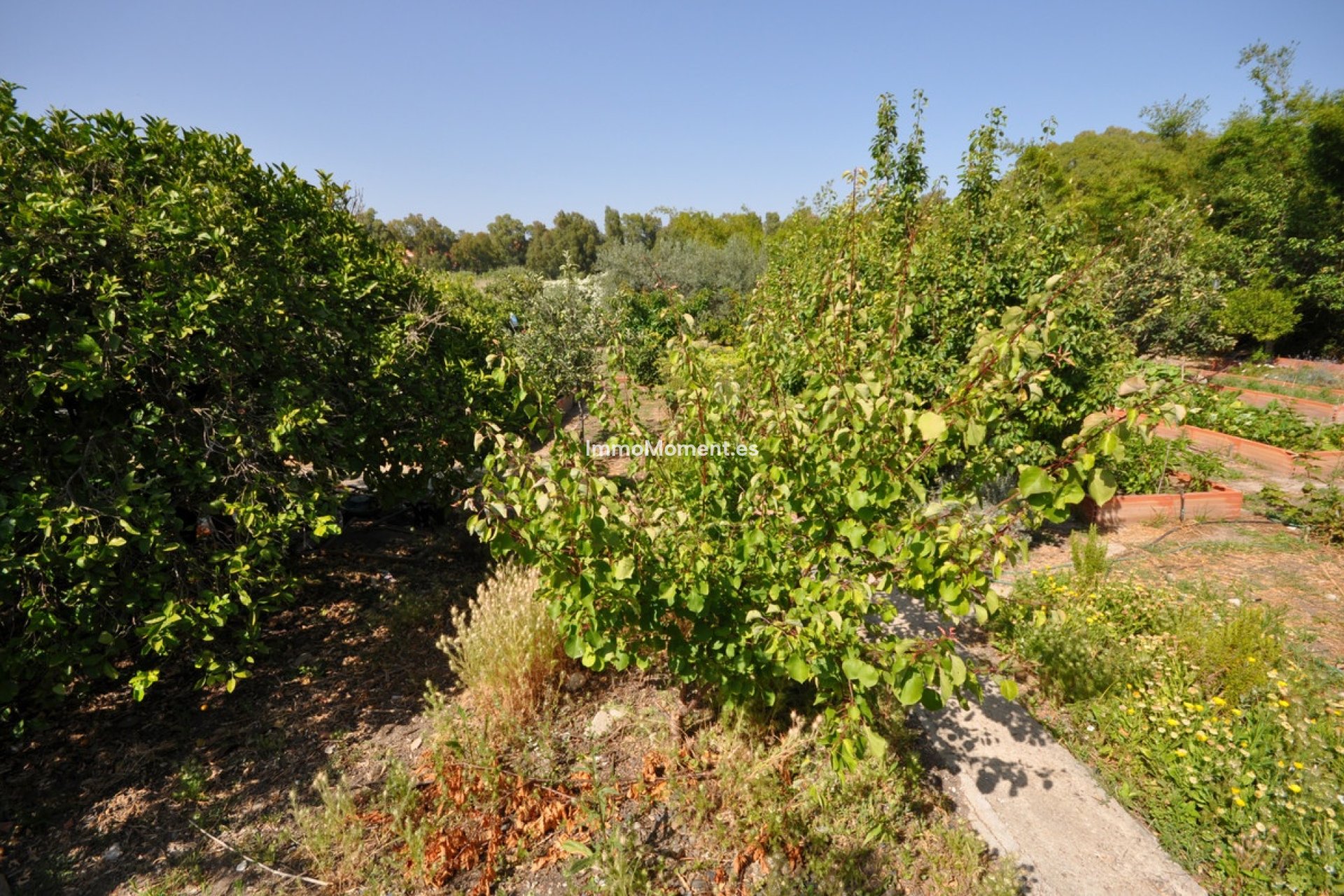 Resale - Detached villa - Casares - Casares Playa