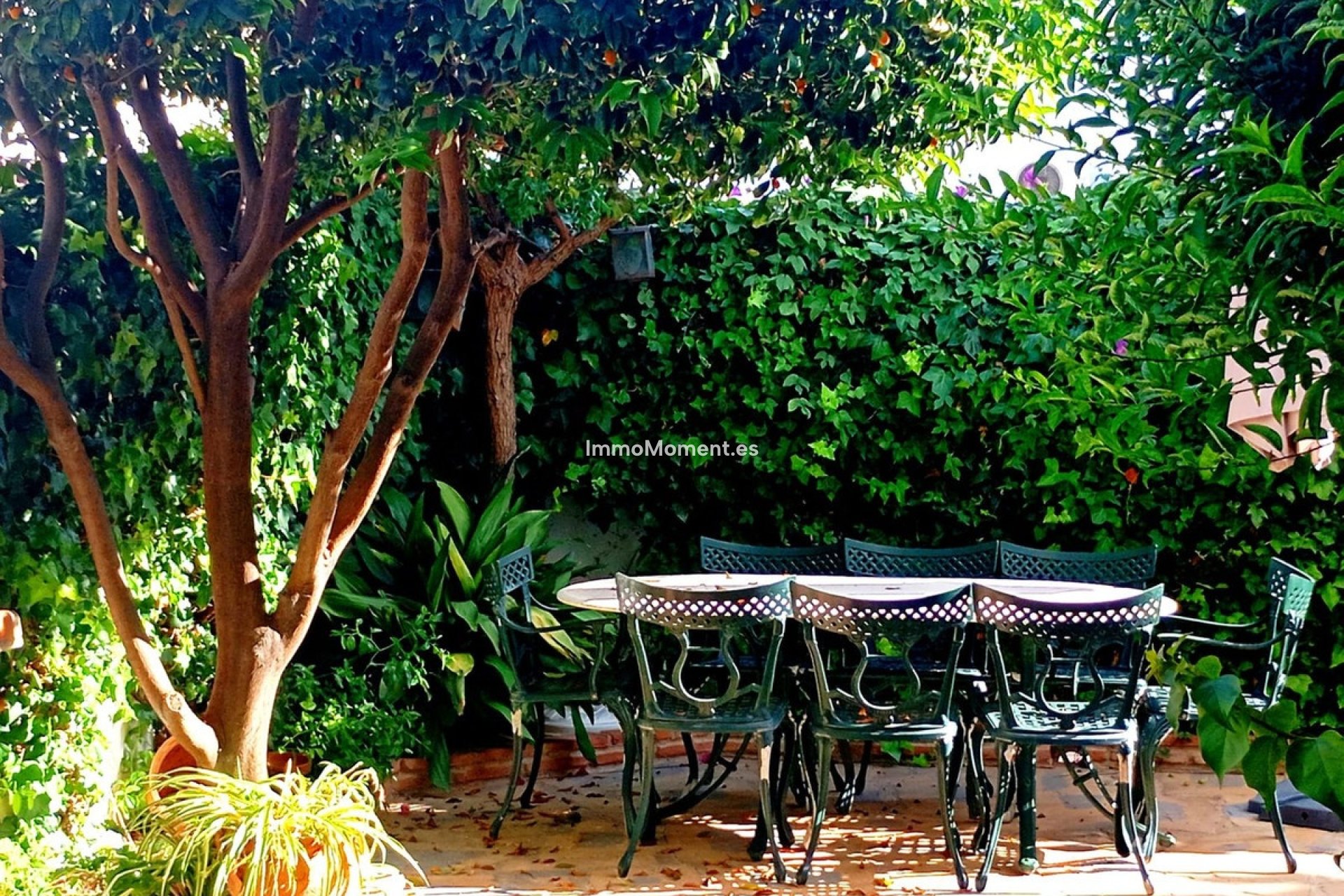 Resale - Detached villa - Casares - Casares Playa