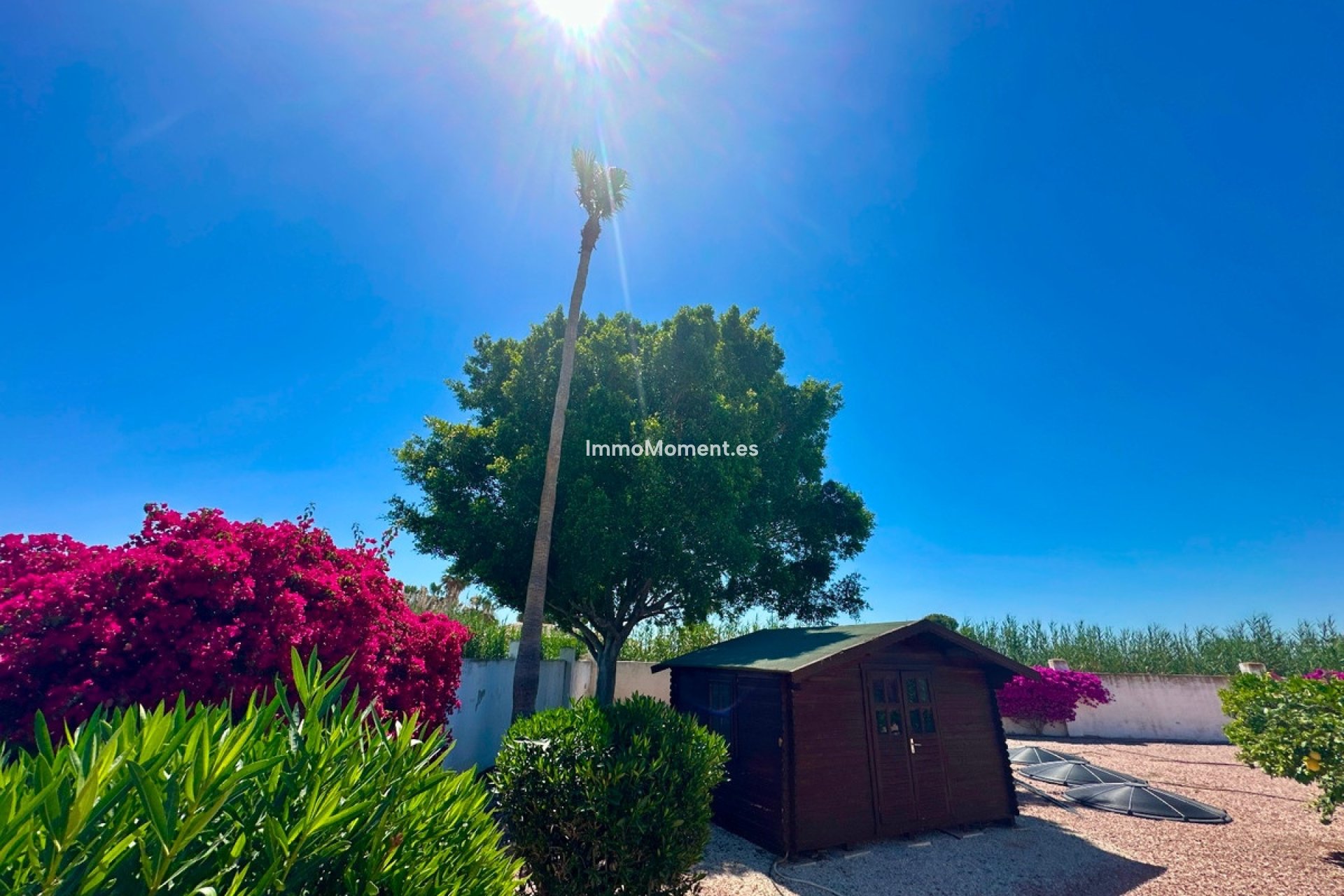 Resale - Detached villa - Catral - Catral Centro