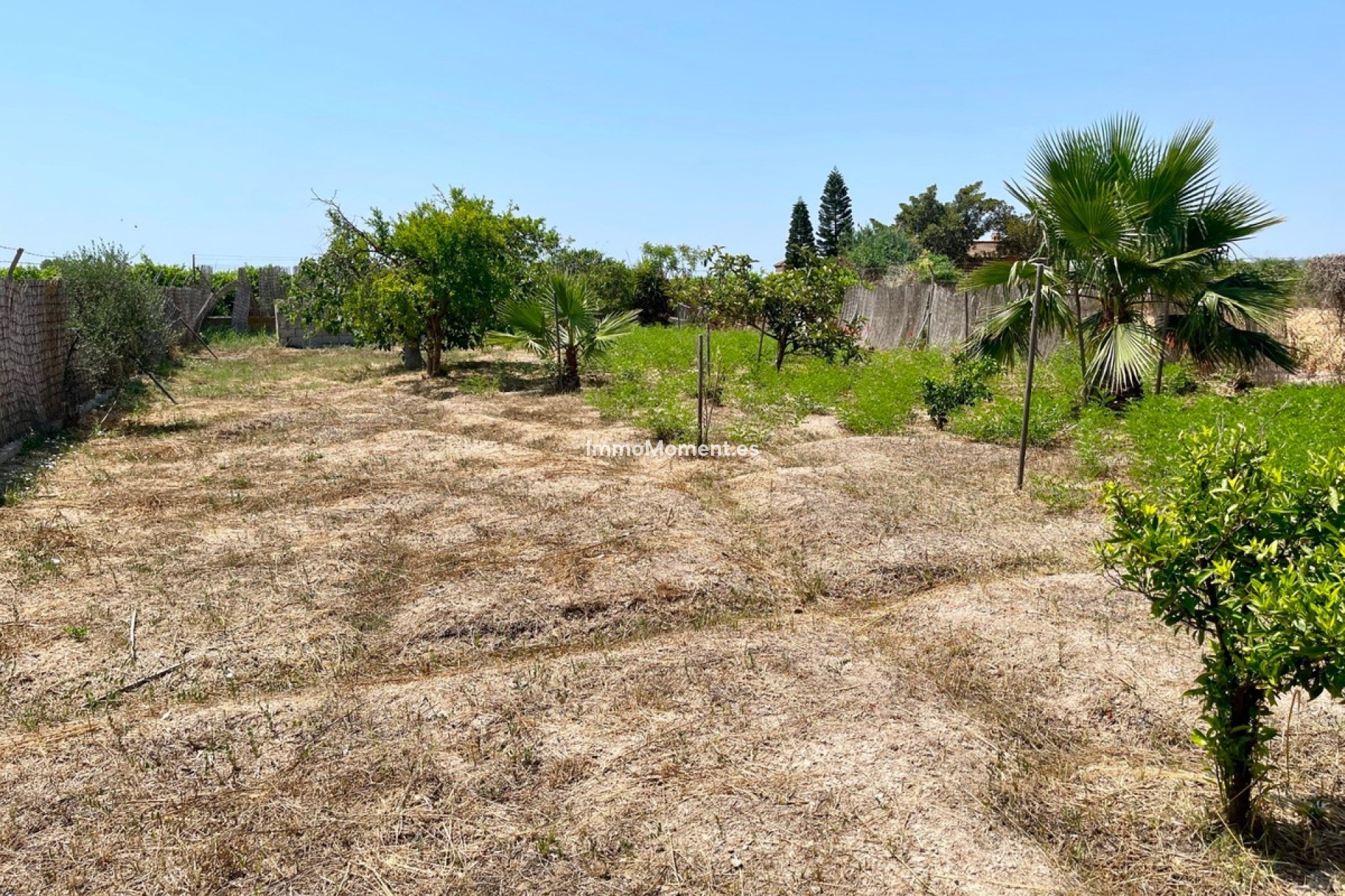 Resale - Detached villa - Daya Nueva - Daya Nueva Centro
