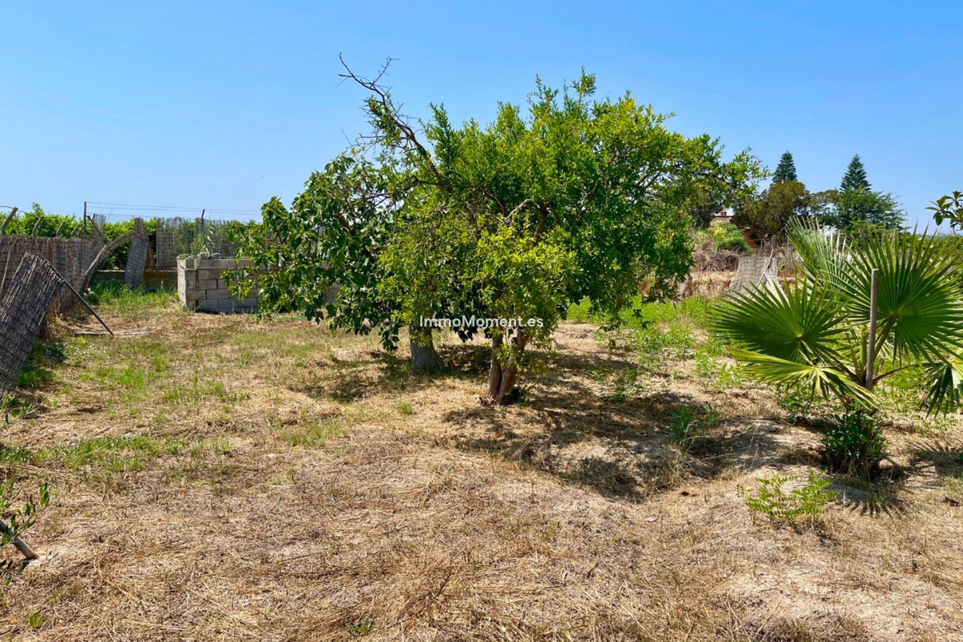 Resale - Detached villa - Daya Nueva - Daya Nueva Centro