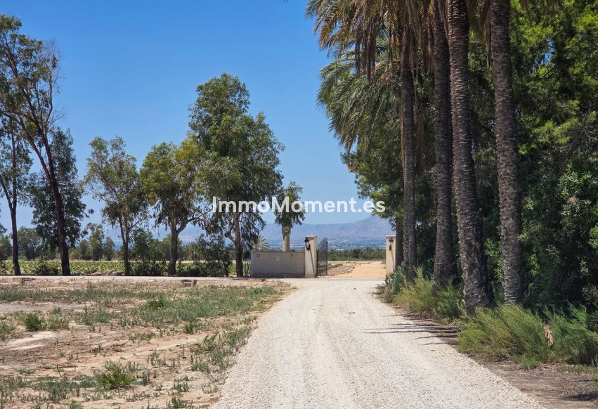 Resale - Detached villa - Elche - Elche Centro