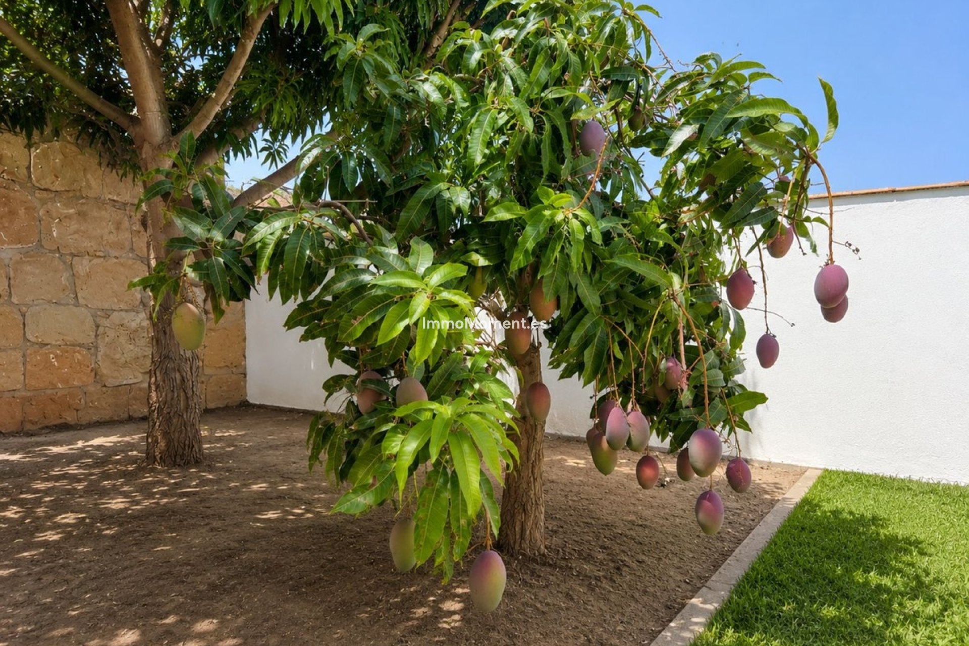 Resale - Detached villa - Estepona - Estepona Centro