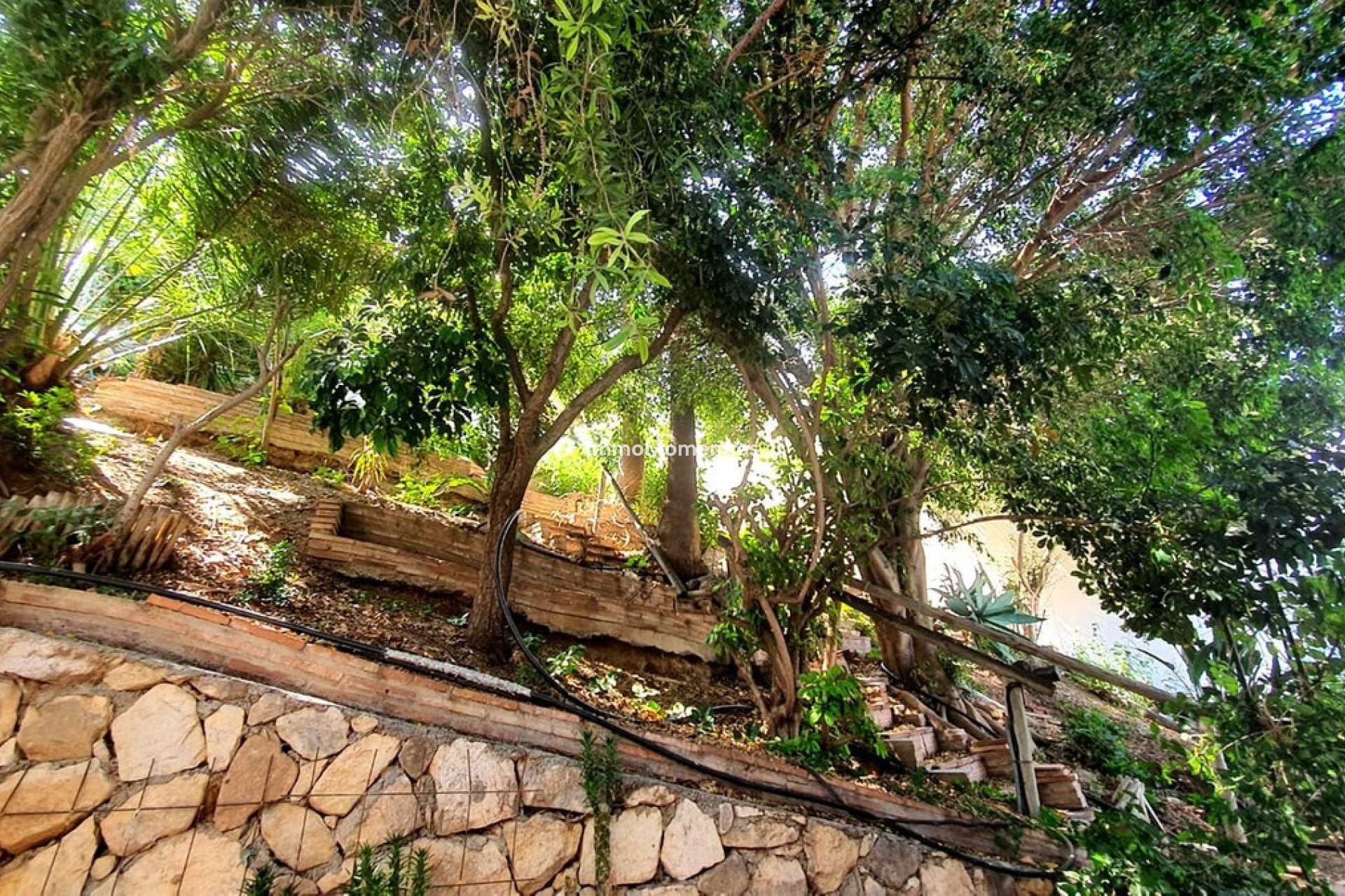 Resale - Detached villa - Fuengirola - Fuengirola Centro