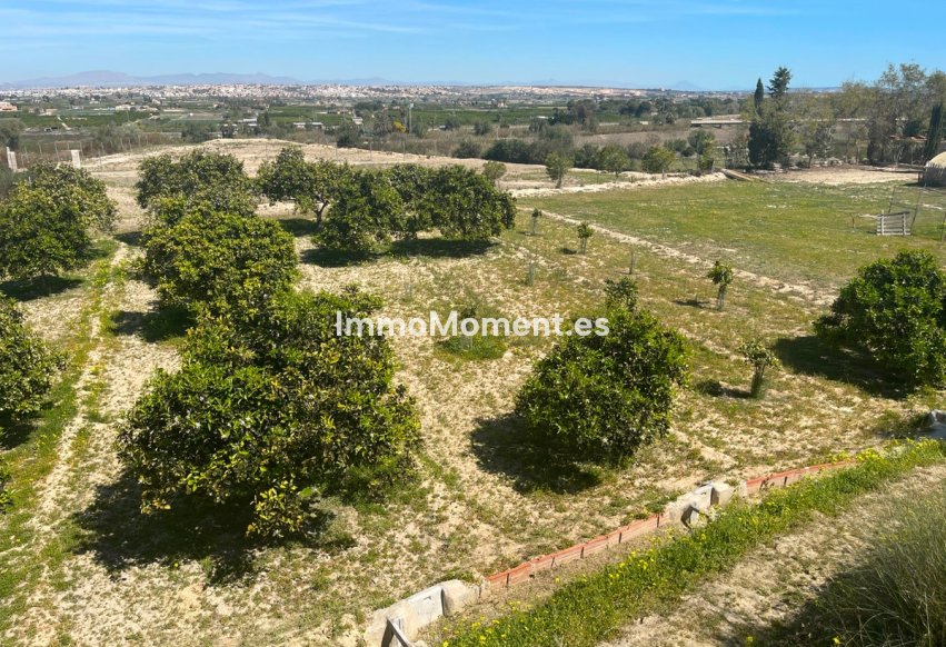 Resale - Detached villa - Guardamar del Segura - Guardamar del Segura Centro