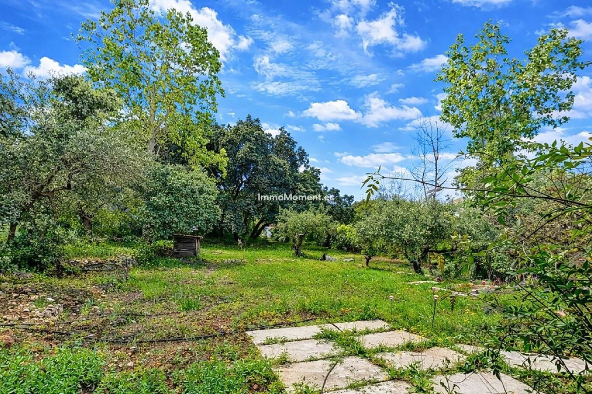 Resale - Detached villa - Inland  - Alhaurín el Grande Centro