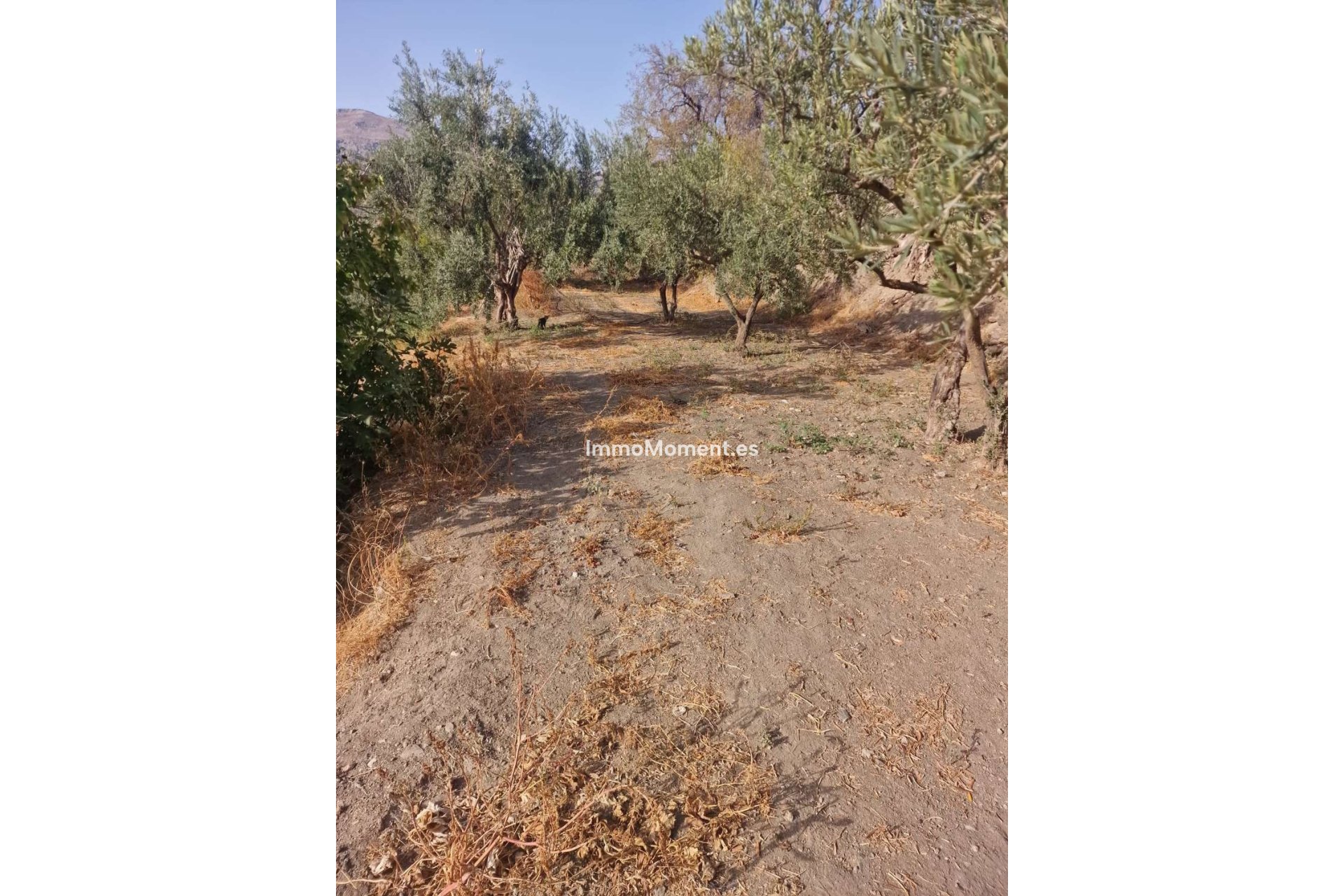 Resale - Detached villa - Inland  - Alora