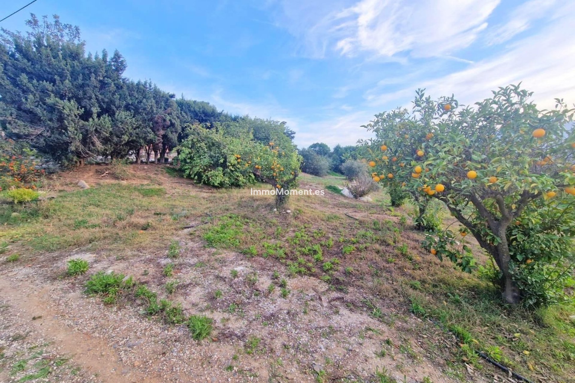 Resale - Detached villa - Inland  - Cártama Centro