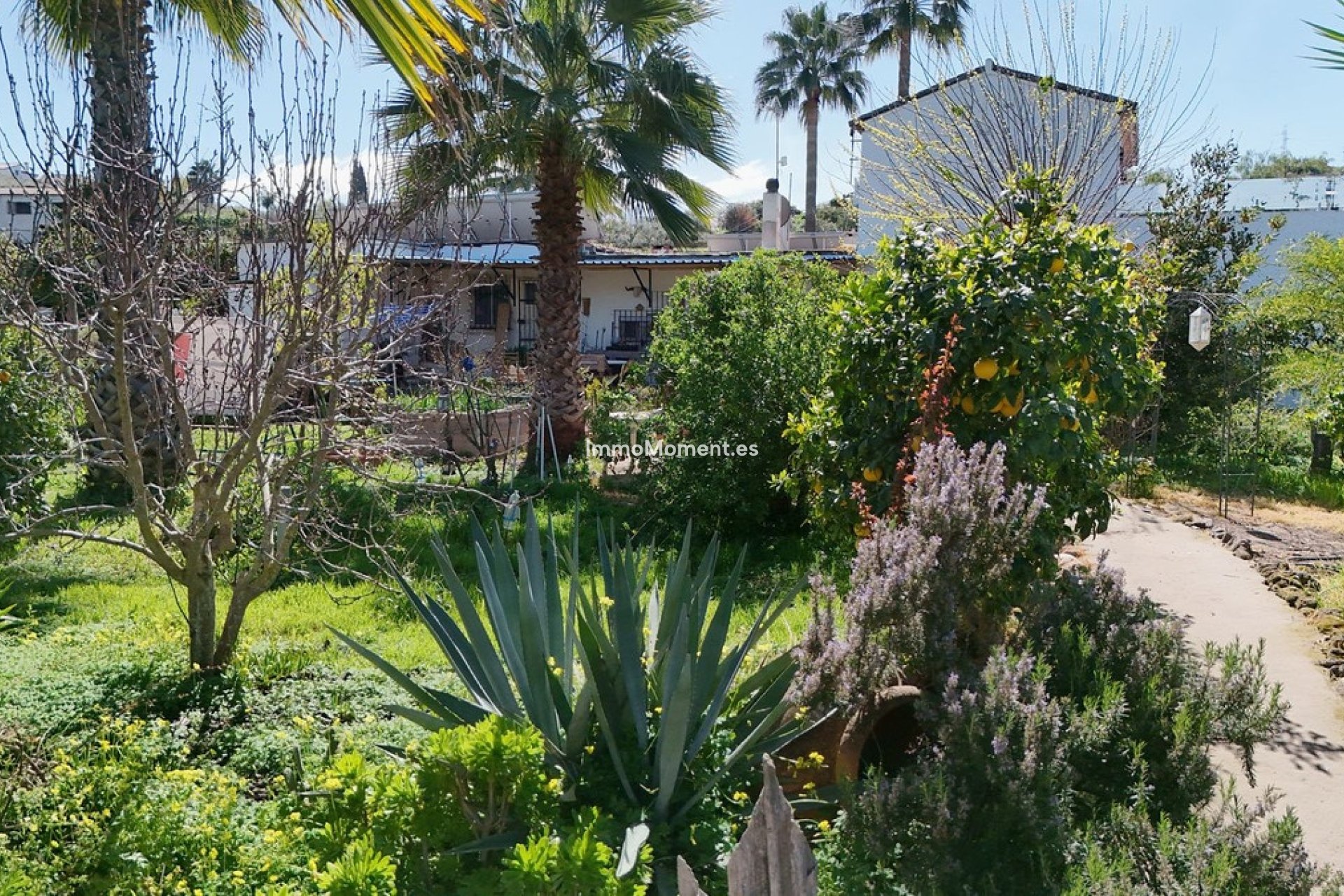 Resale - Detached villa - Inland  - Coín
