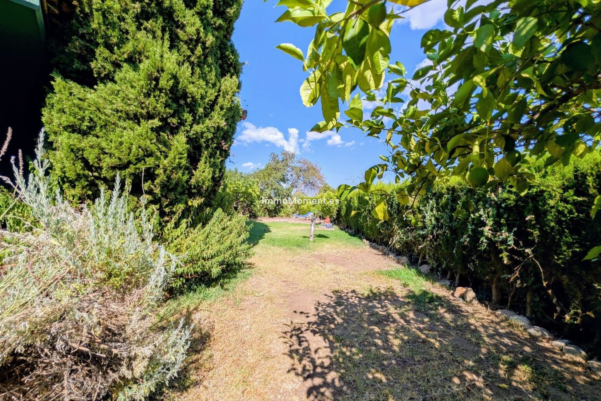 Resale - Detached villa - Inland  - Monda