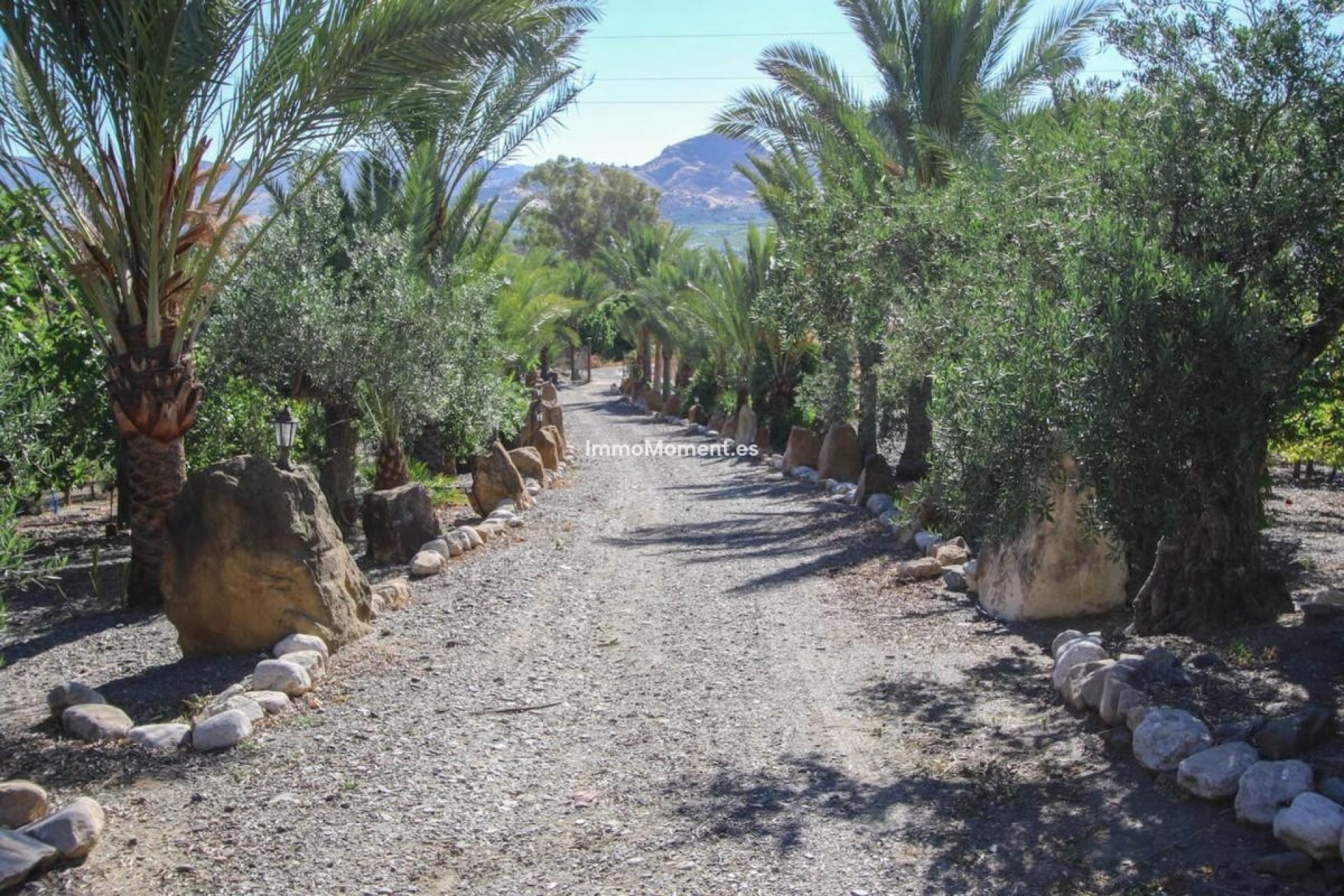Resale - Detached villa - Inland  - Pizarra