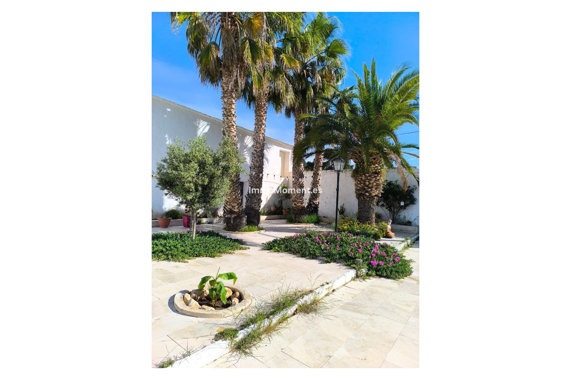 Resale - Detached villa - Jumilla - Torre Del Rico
