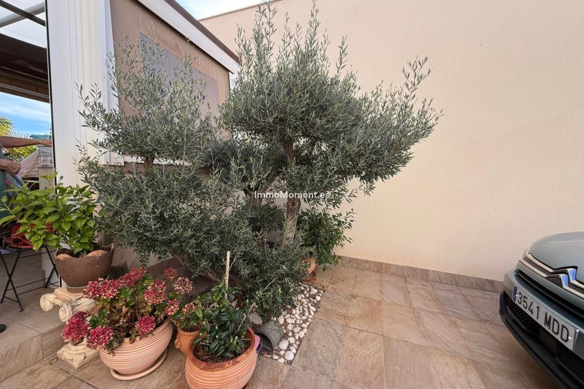 Resale - Detached villa - Los Montesinos - Los Montesinos Centro