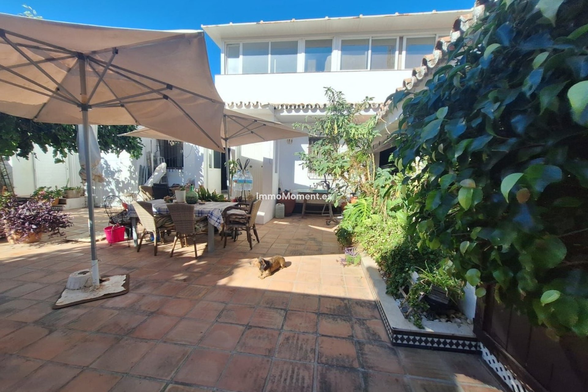 Resale - Detached villa - Marbella - Costabella