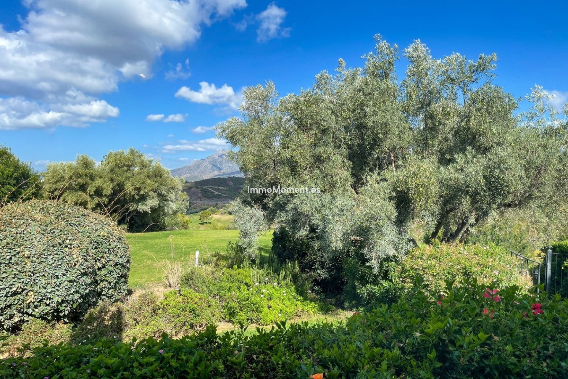 Resale - Detached villa - Marbella - El Rosario
