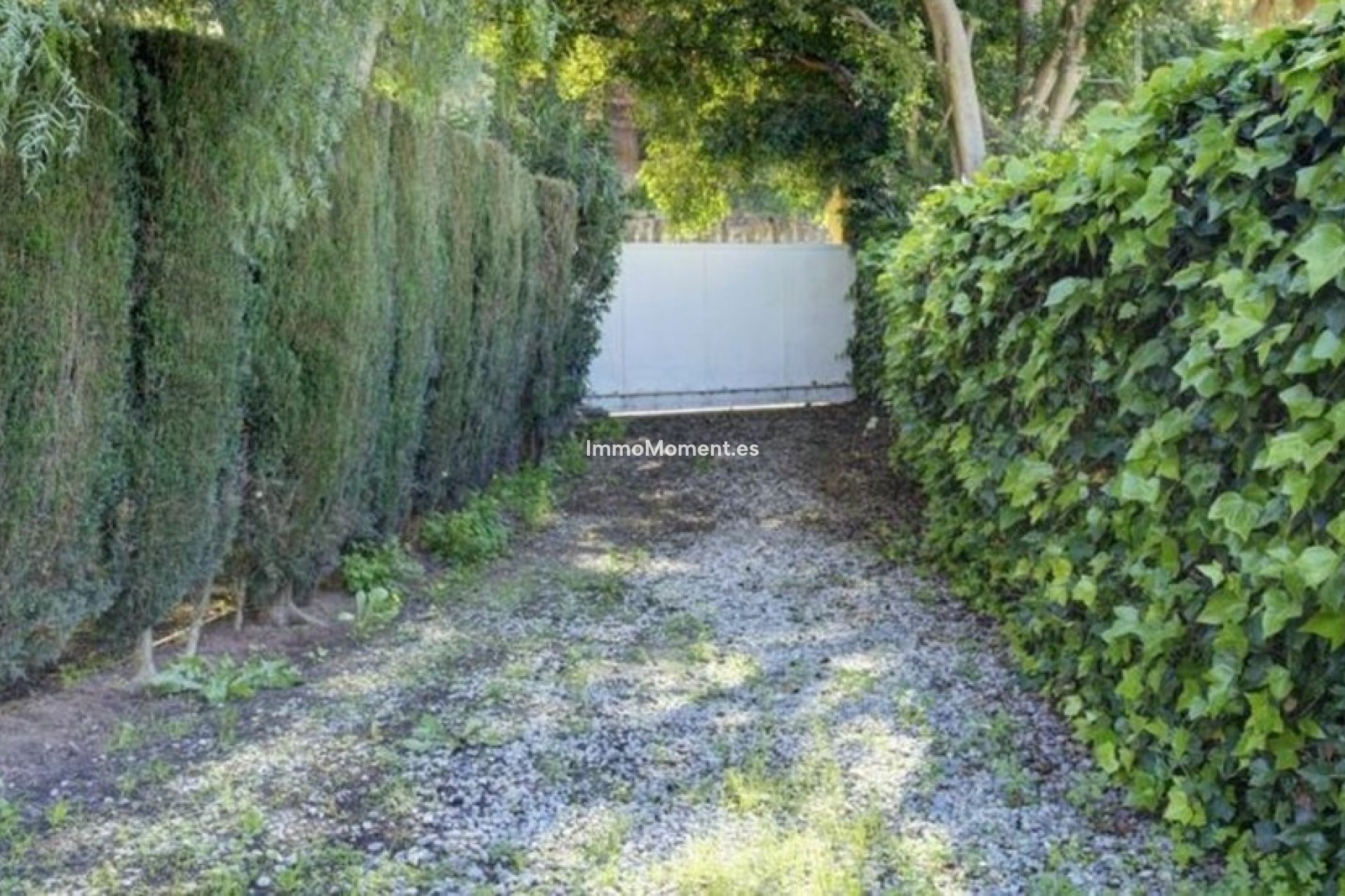 Resale - Detached villa - Marbella - El Rosario