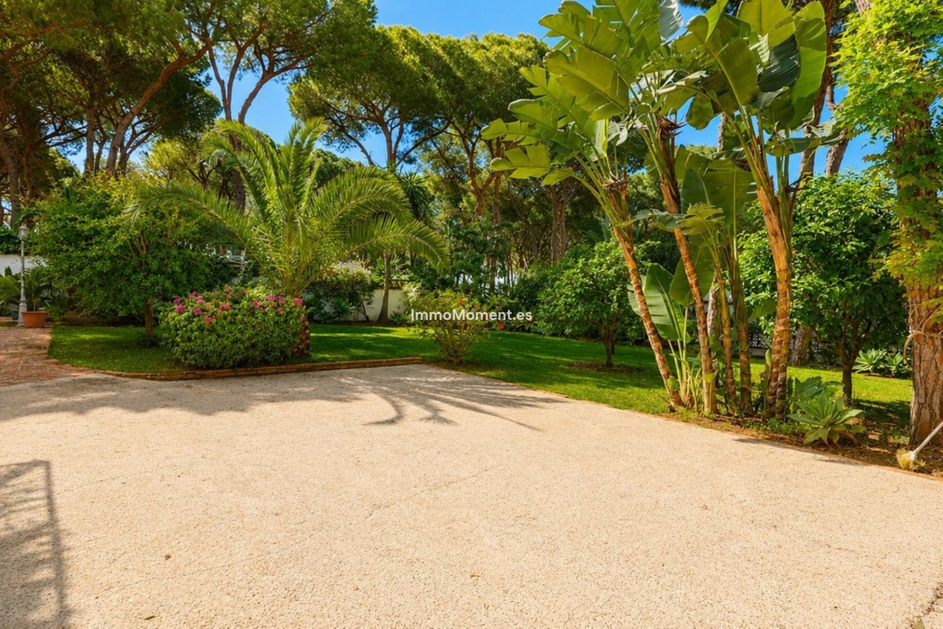 Resale - Detached villa - Marbella - El Rosario