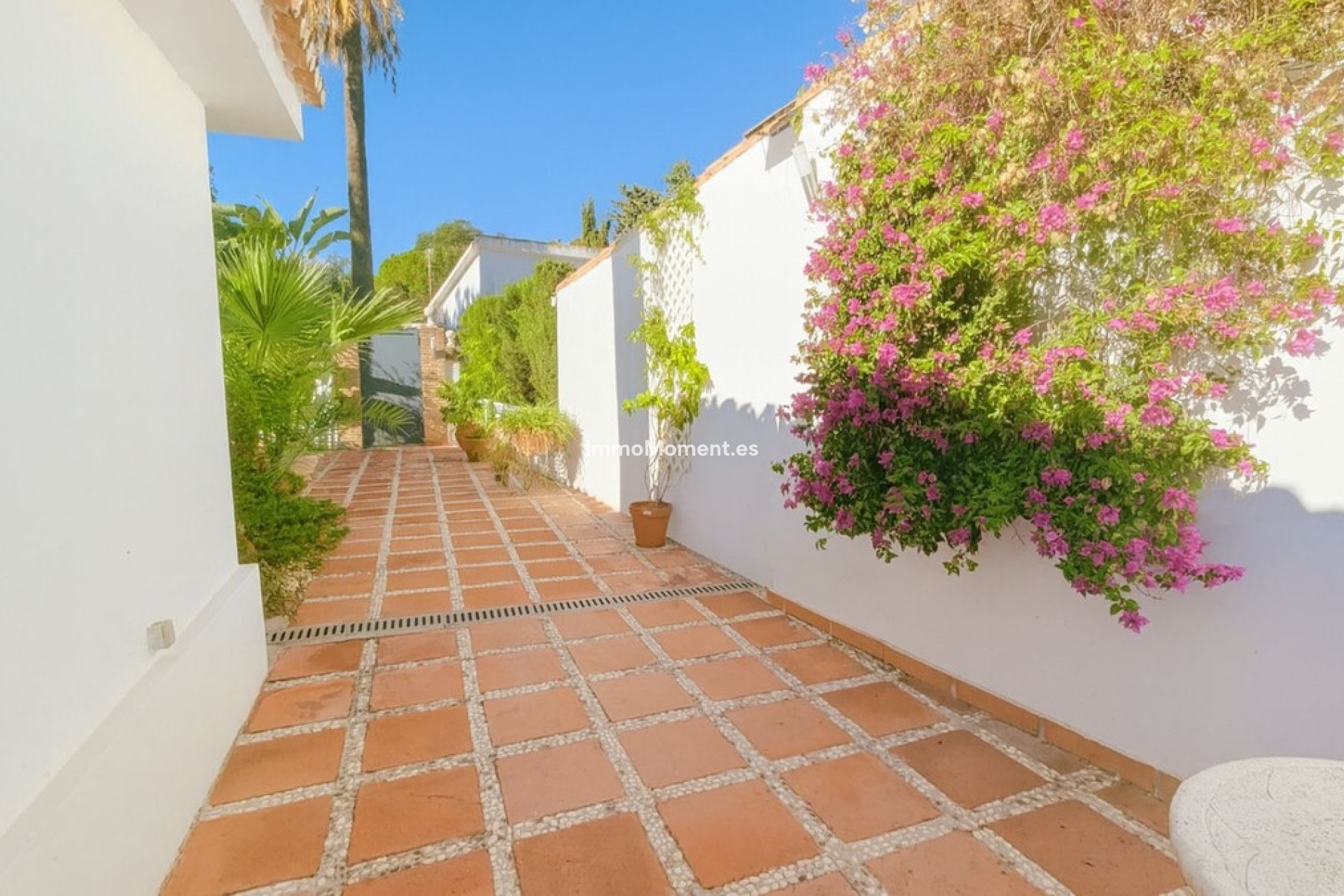 Resale - Detached villa - Marbella - El Rosario
