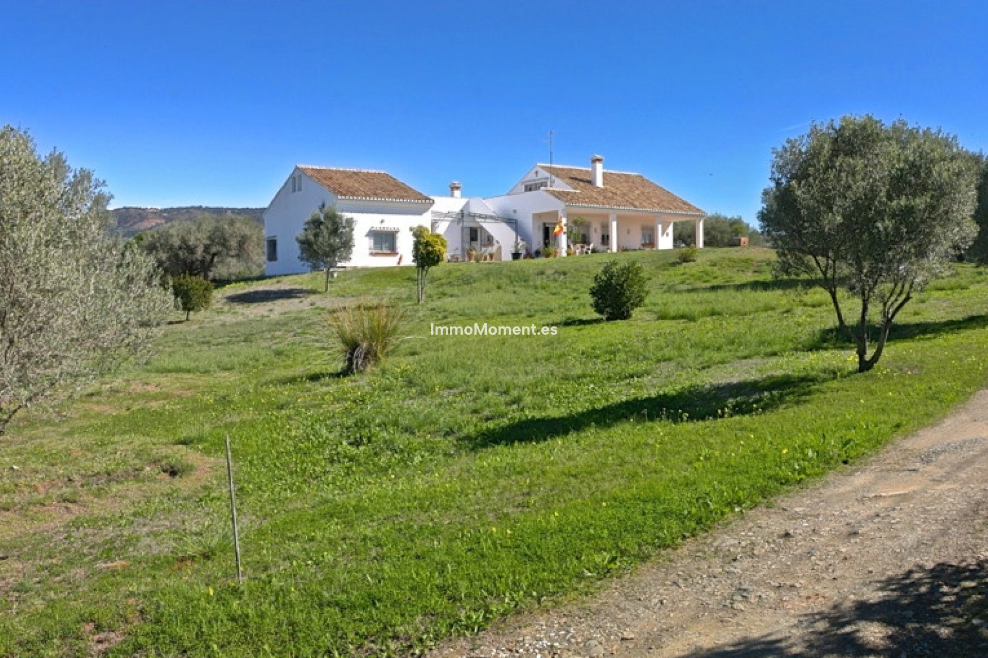 Resale - Detached villa - Marbella - Elviria