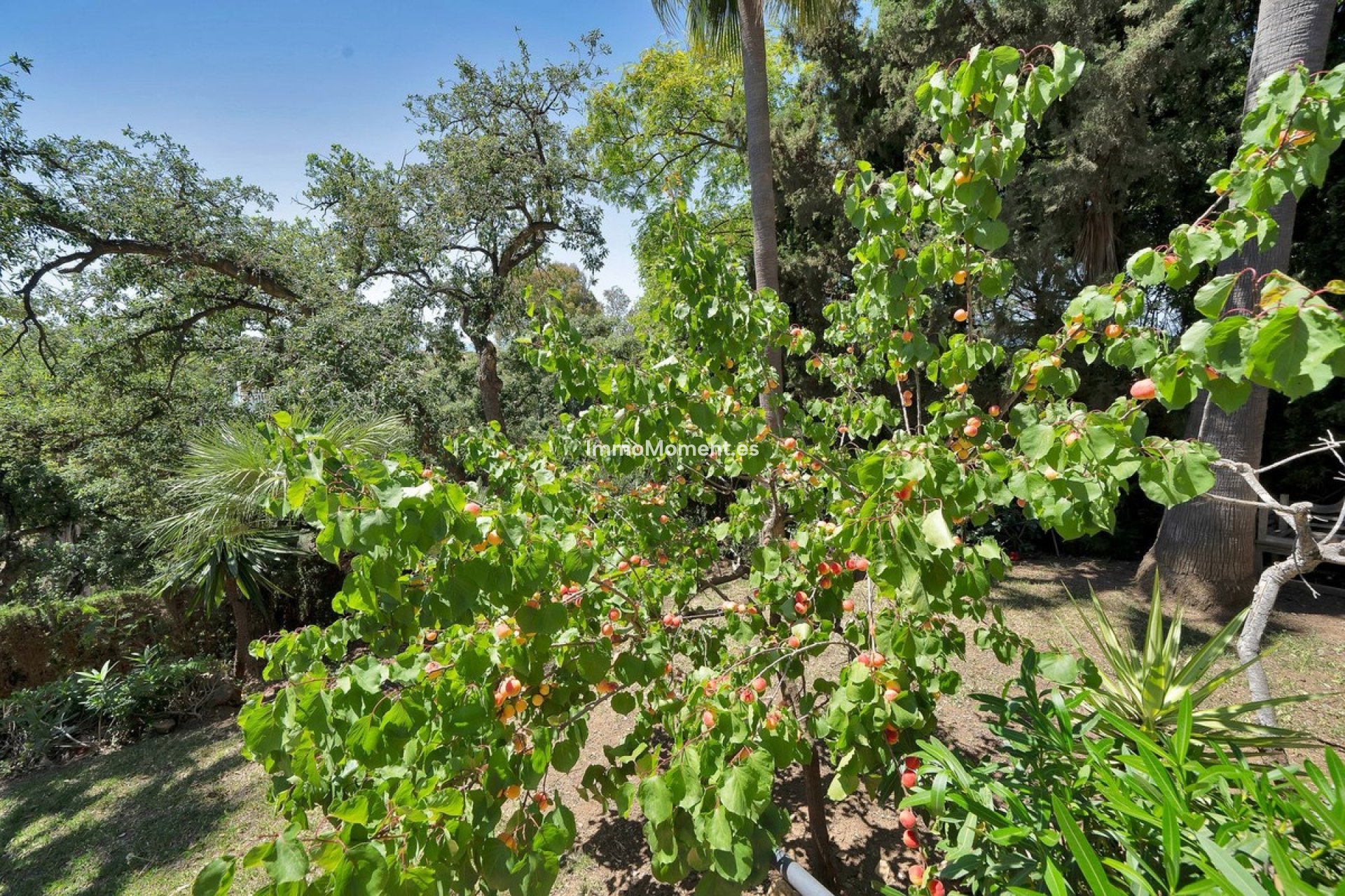 Resale - Detached villa - Marbella - Hacienda Las Chapas