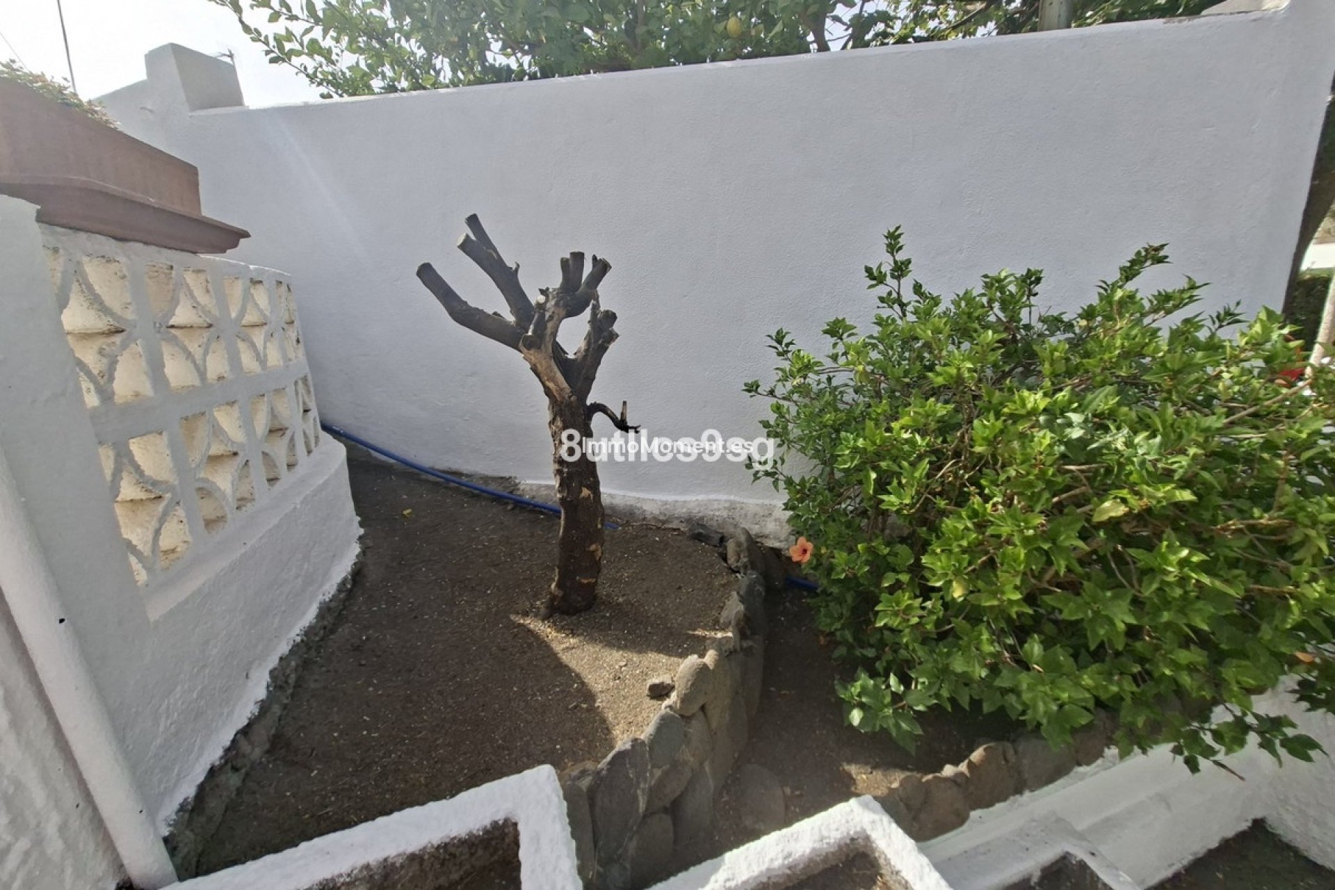 Resale - Detached villa - Marbella - La Campana