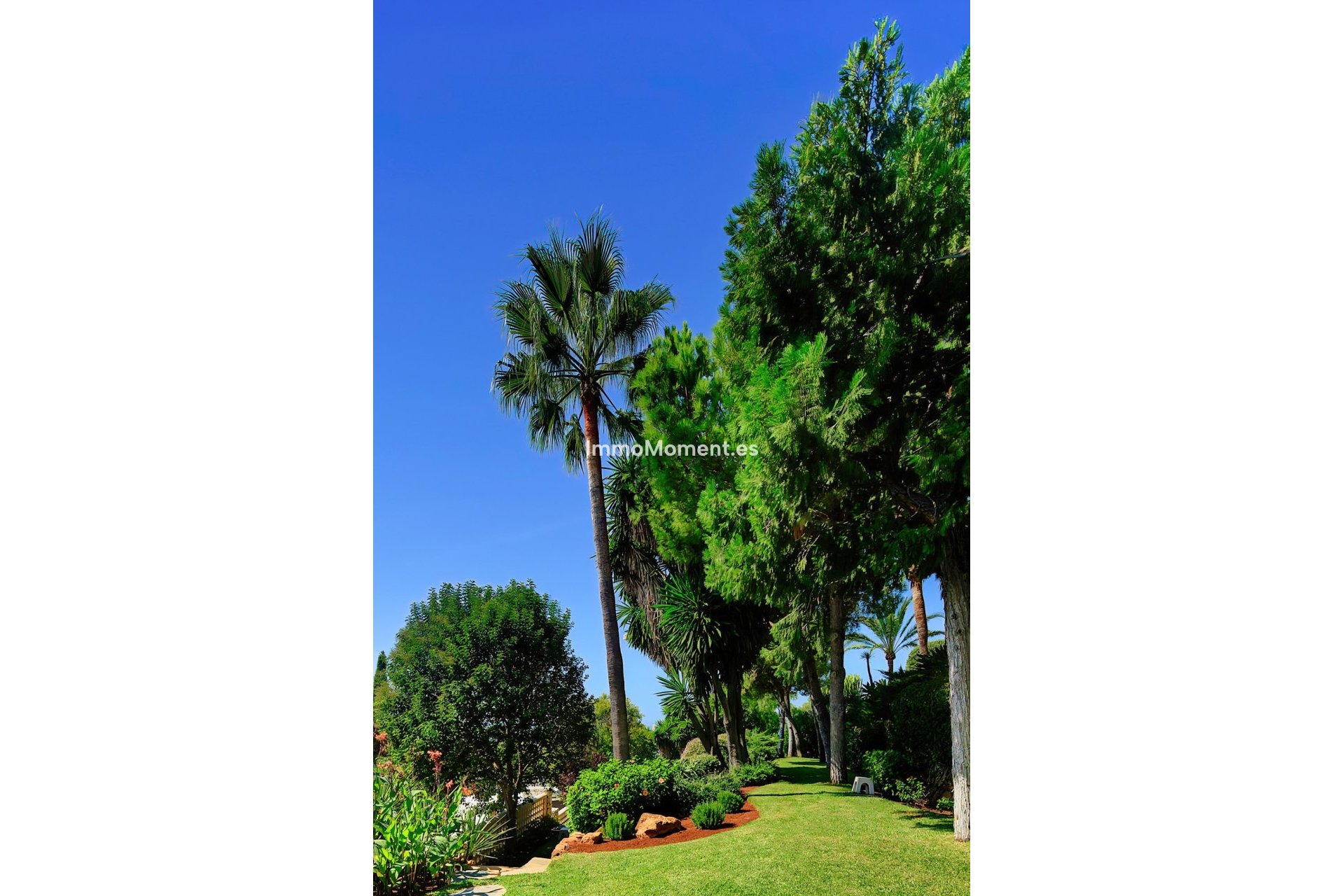 Resale - Detached villa - Marbella - Marbella Centro