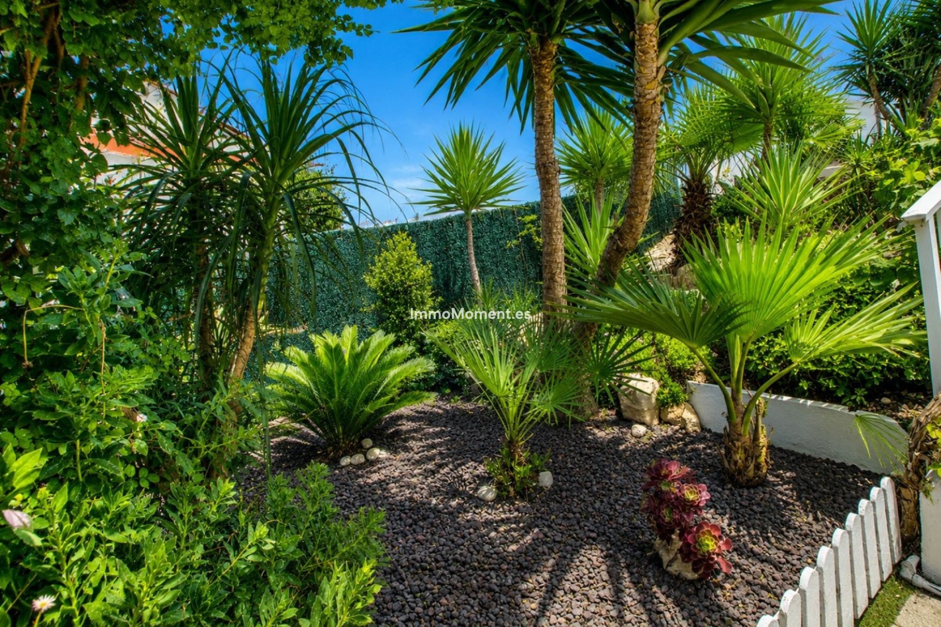 Resale - Detached villa - Mijas Costa - El Faro