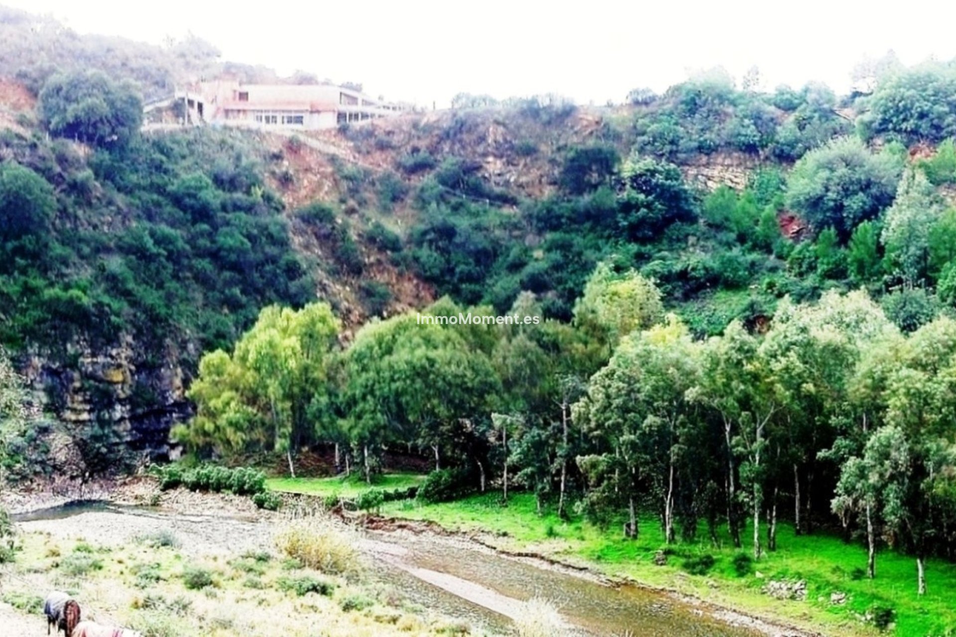 Resale - Detached villa - Mijas - Entrerrios