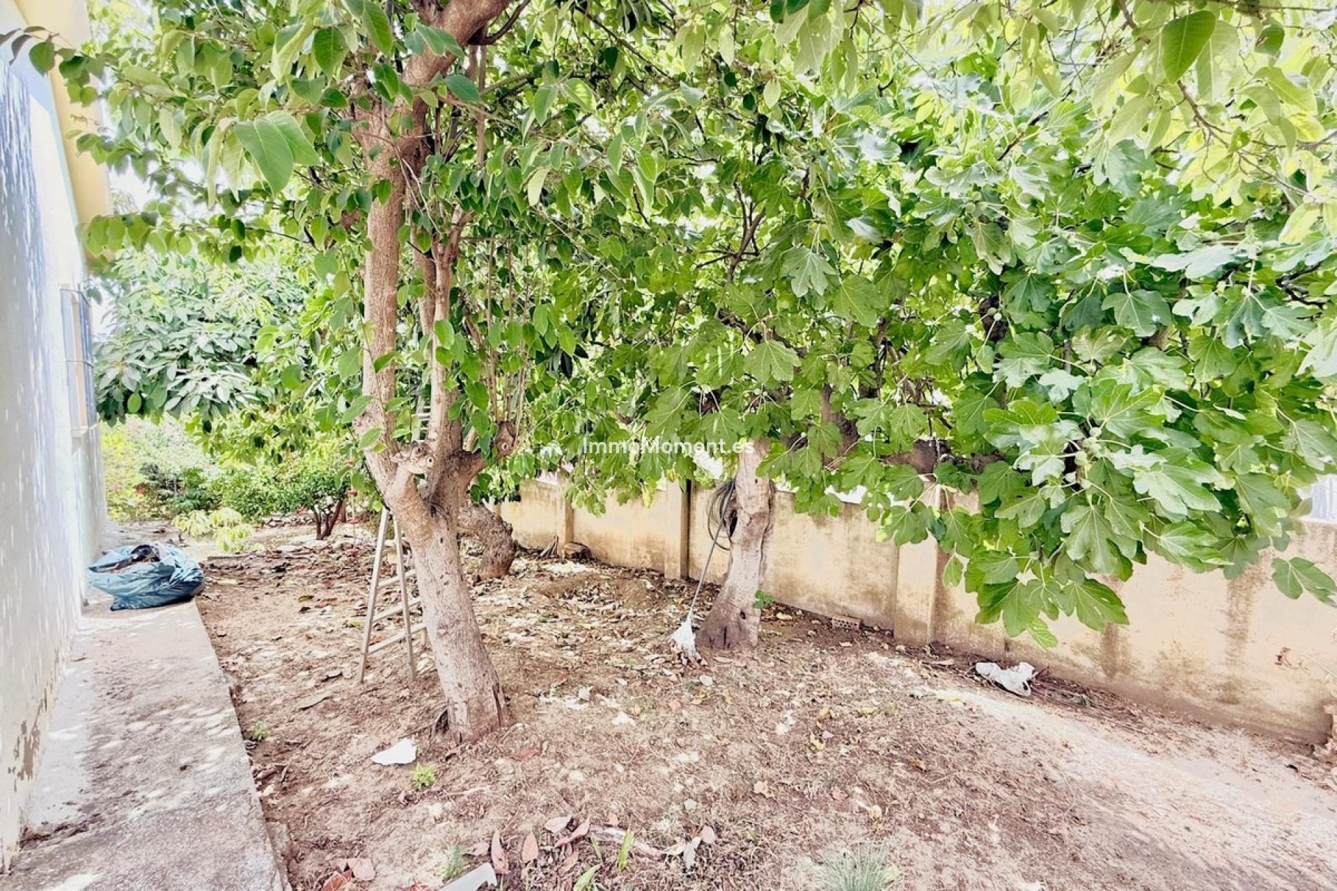 Resale - Detached villa - Mijas - Mijas Centro