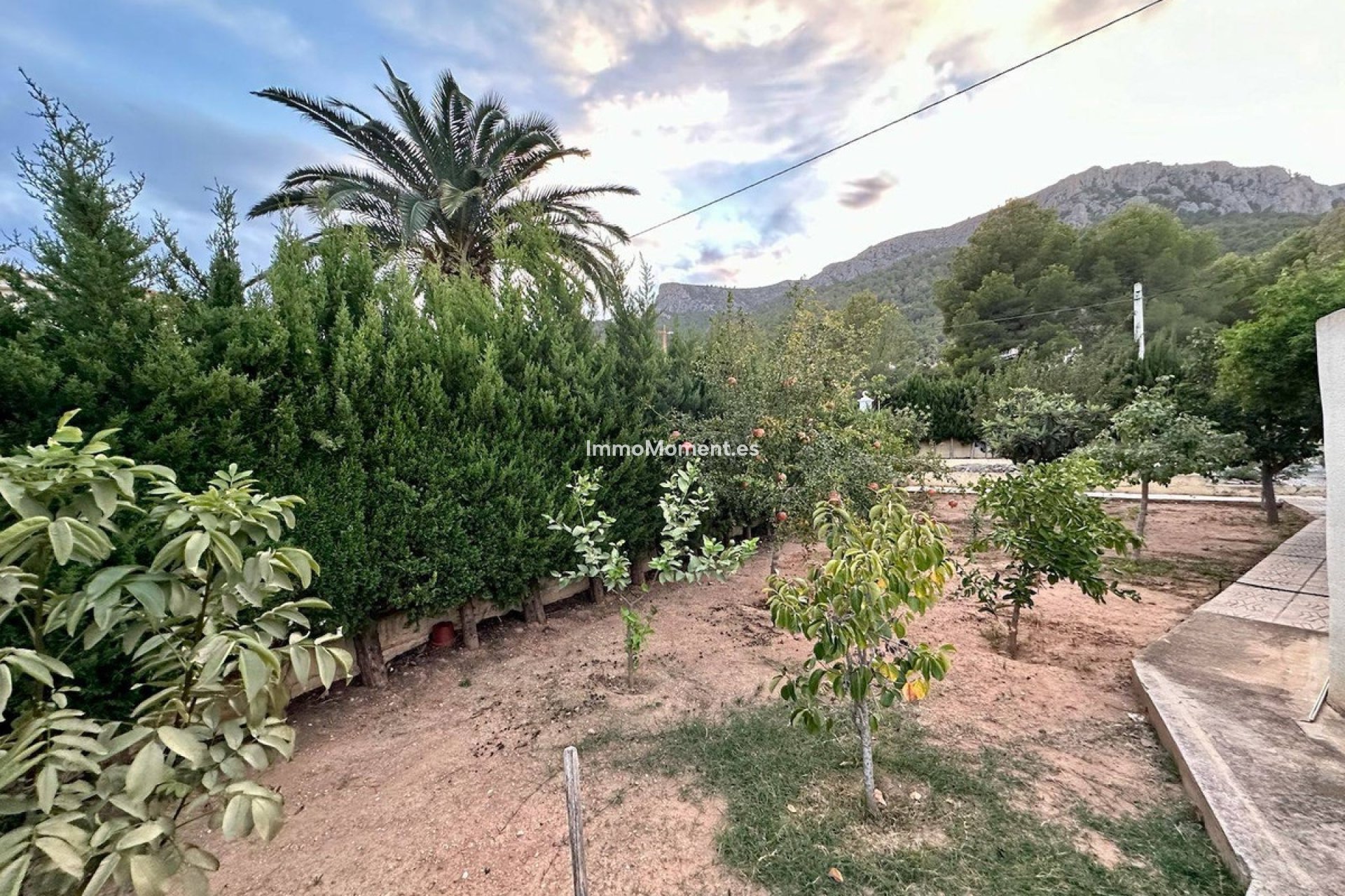 Resale - Detached villa - Novelda - Estación