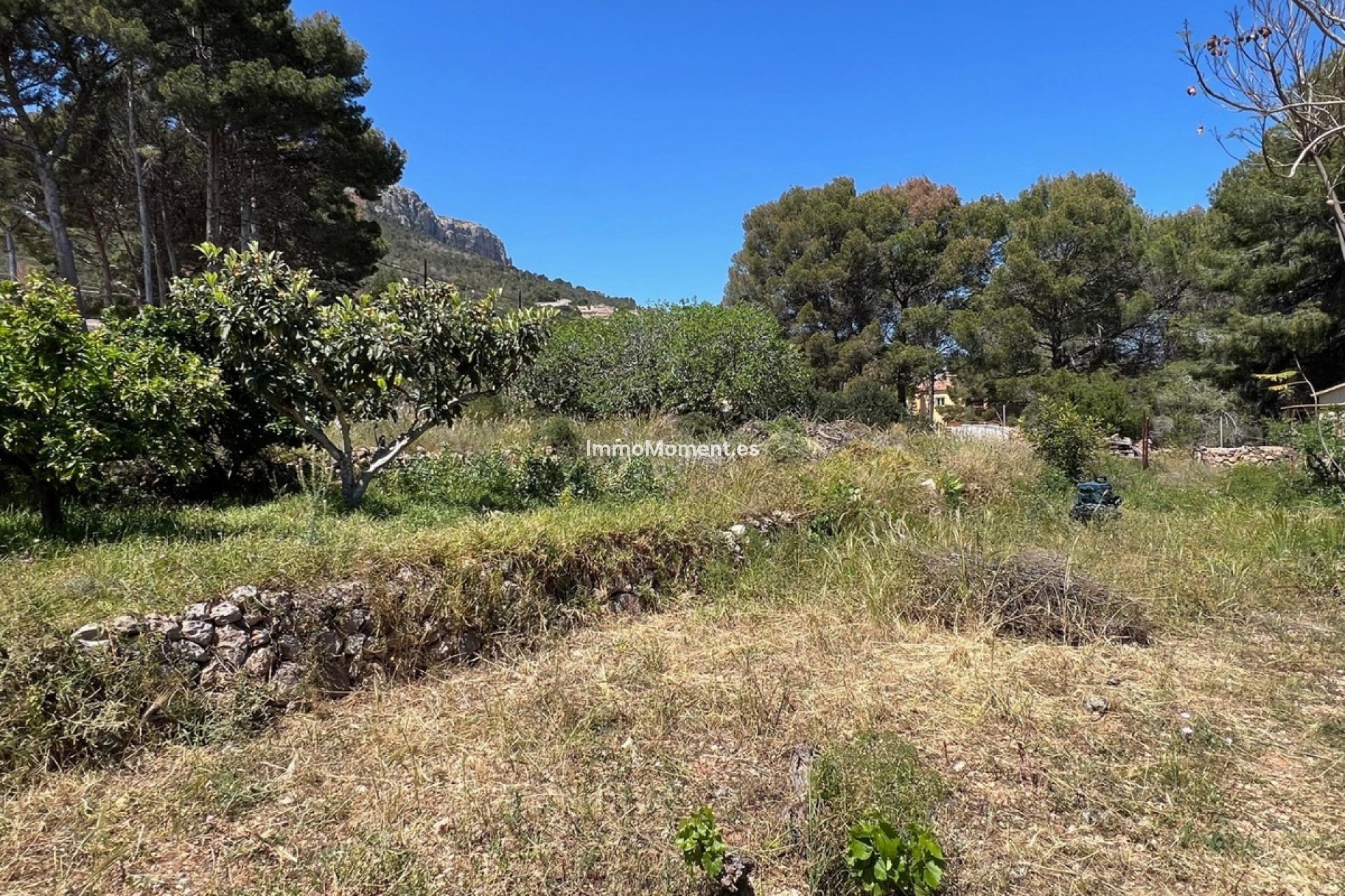 Resale - Detached villa - Novelda - Estación