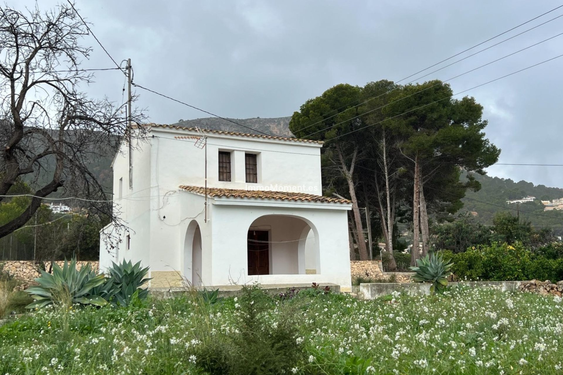 Resale - Detached villa - Novelda - Estación