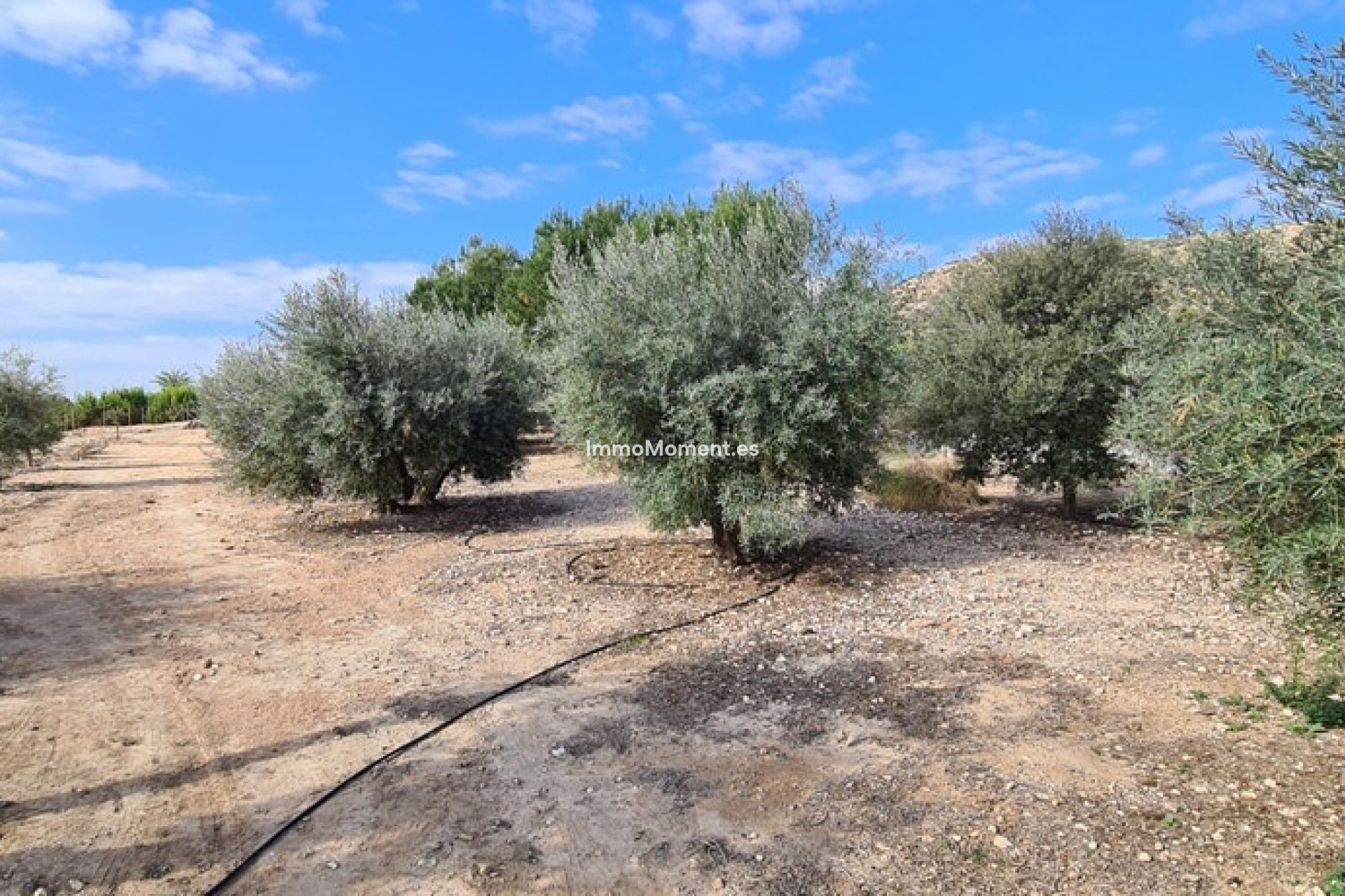 Resale - Detached villa - Orihuela - La Matanza