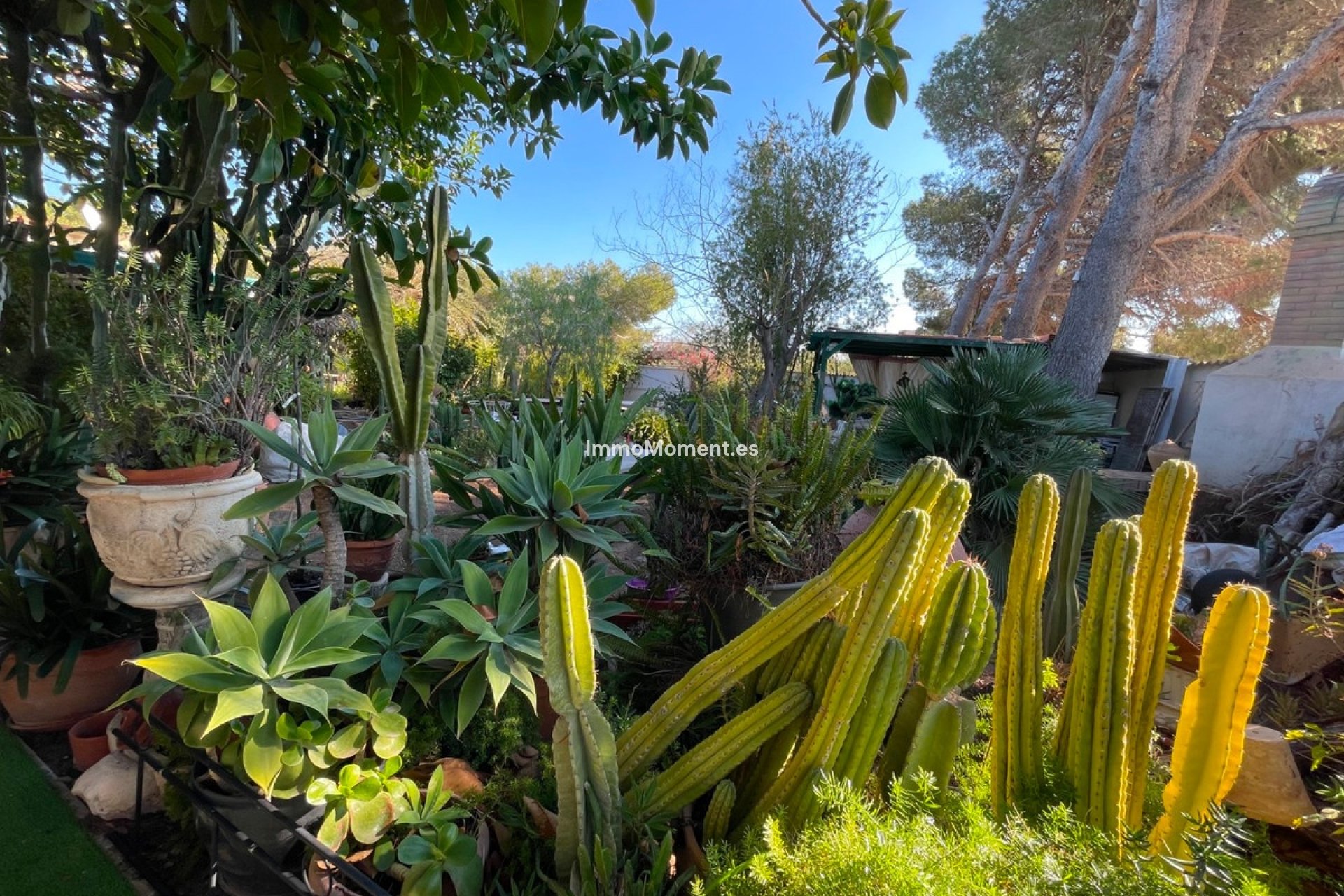 Resale - Detached villa - Orihuela - Lomas de Cabo Roig