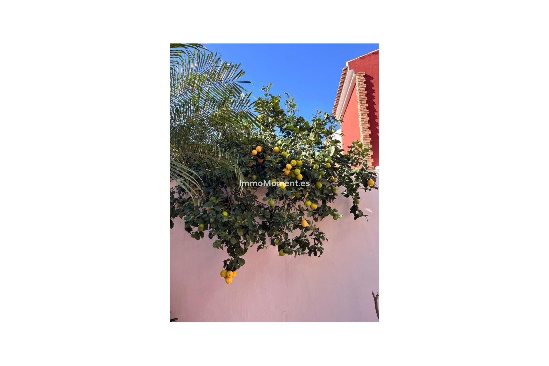 Resale - Detached villa - Pilar de la Horadada - Torre de la Horadada