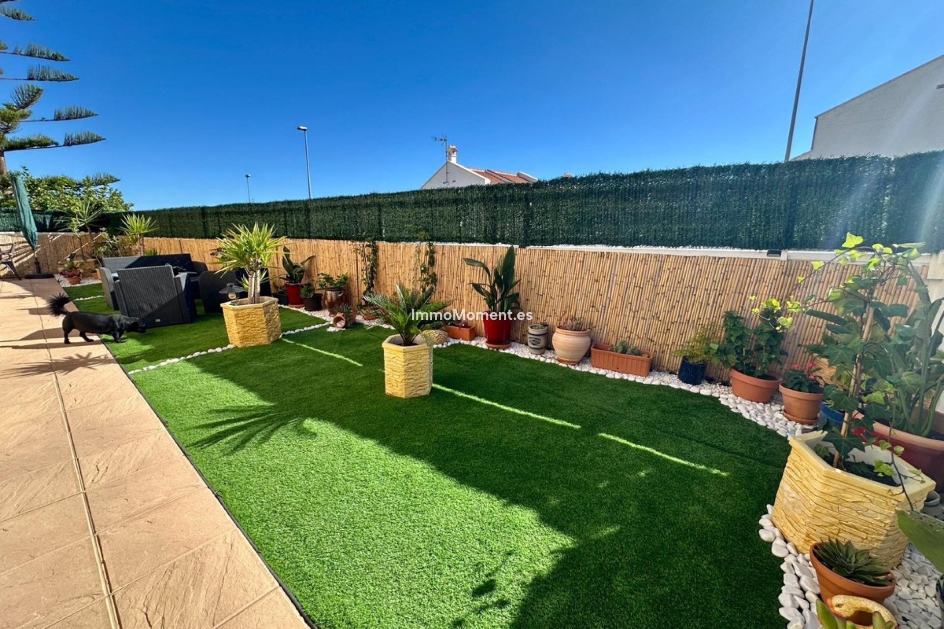 Resale - Detached villa - San Miguel de Salinas - San Miguel de Salinas Centro