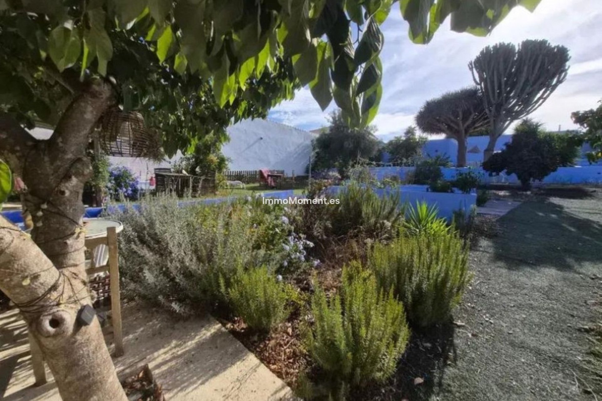 Resale - Detached villa - Sotogrande - San Roque