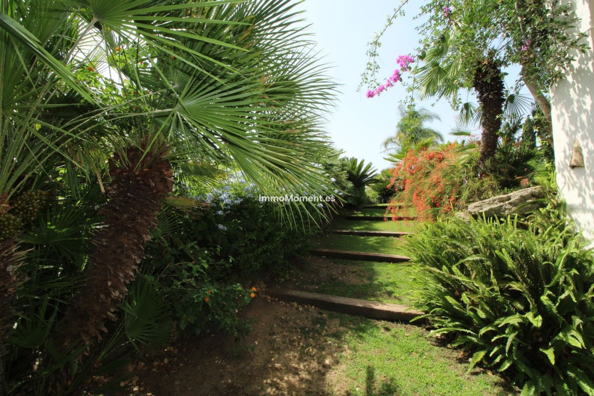 Resale - Detached villa - Sotogrande - Sotogrande Alto