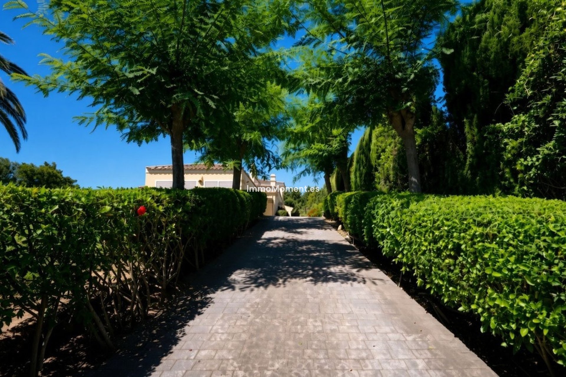 Resale - Detached villa - Sotogrande - Sotogrande Costa