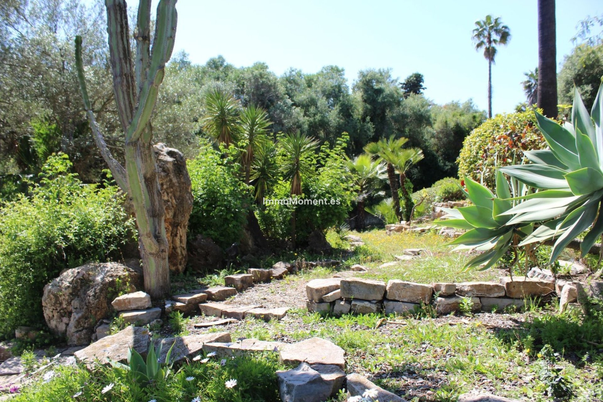 Resale - Detached villa - Sotogrande - Sotogrande Costa