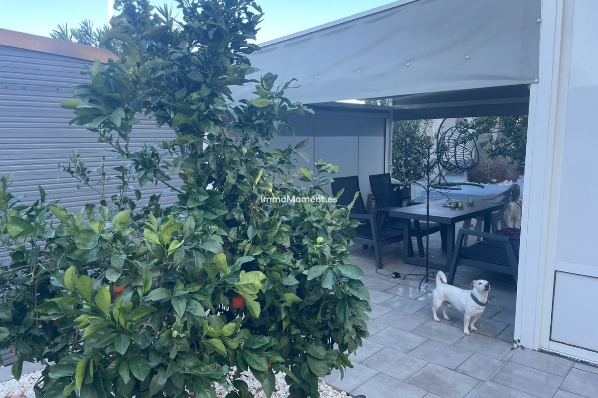Resale - Detached villa - Torrevieja - La Mata