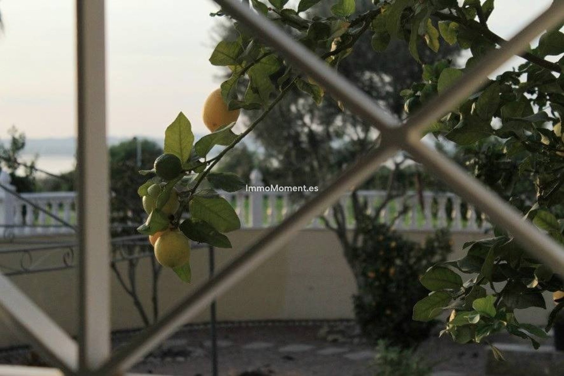 Resale - Detached villa - Torrevieja - La Siesta