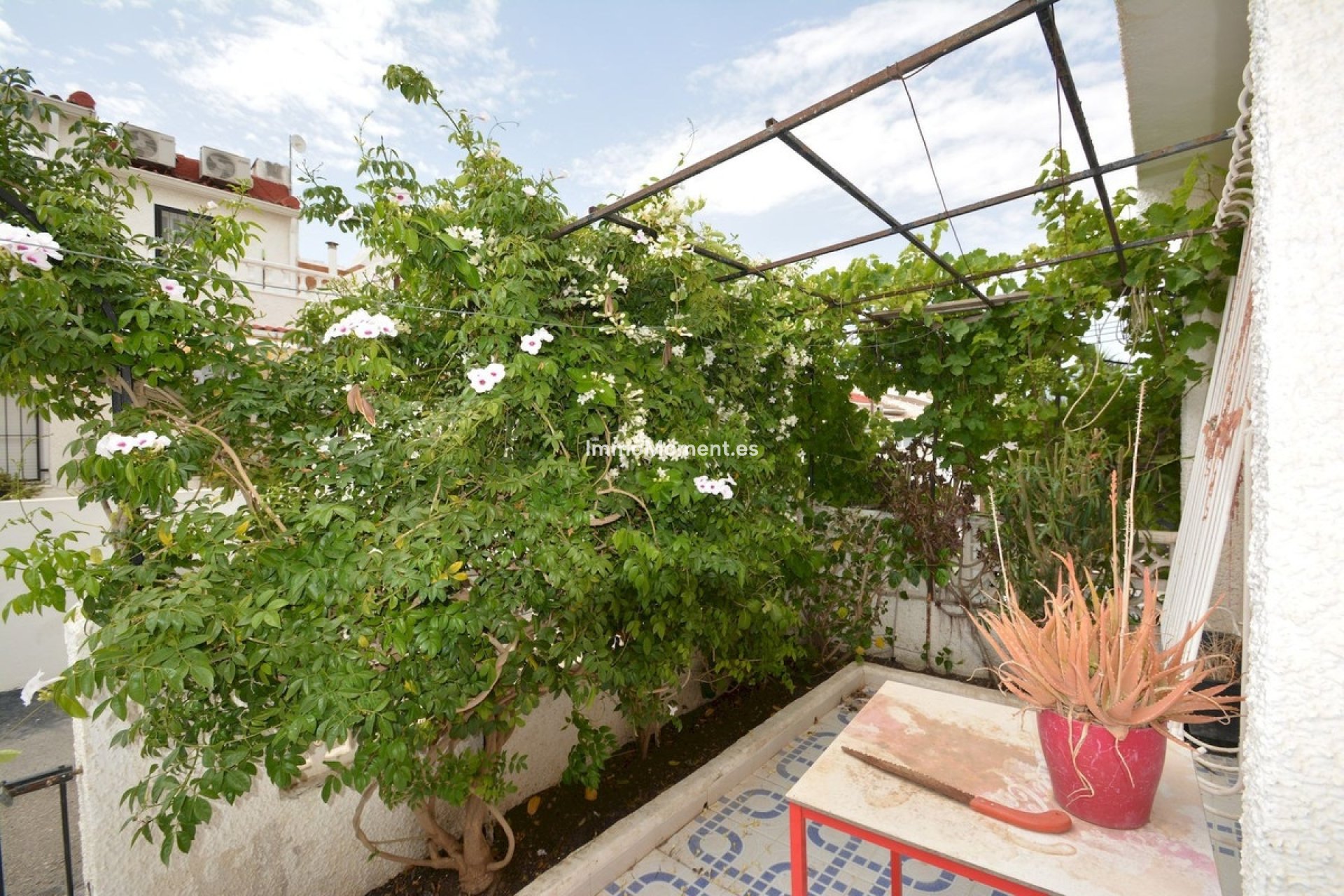 Resale - Detached villa - Torrevieja - Torrevieja Centro