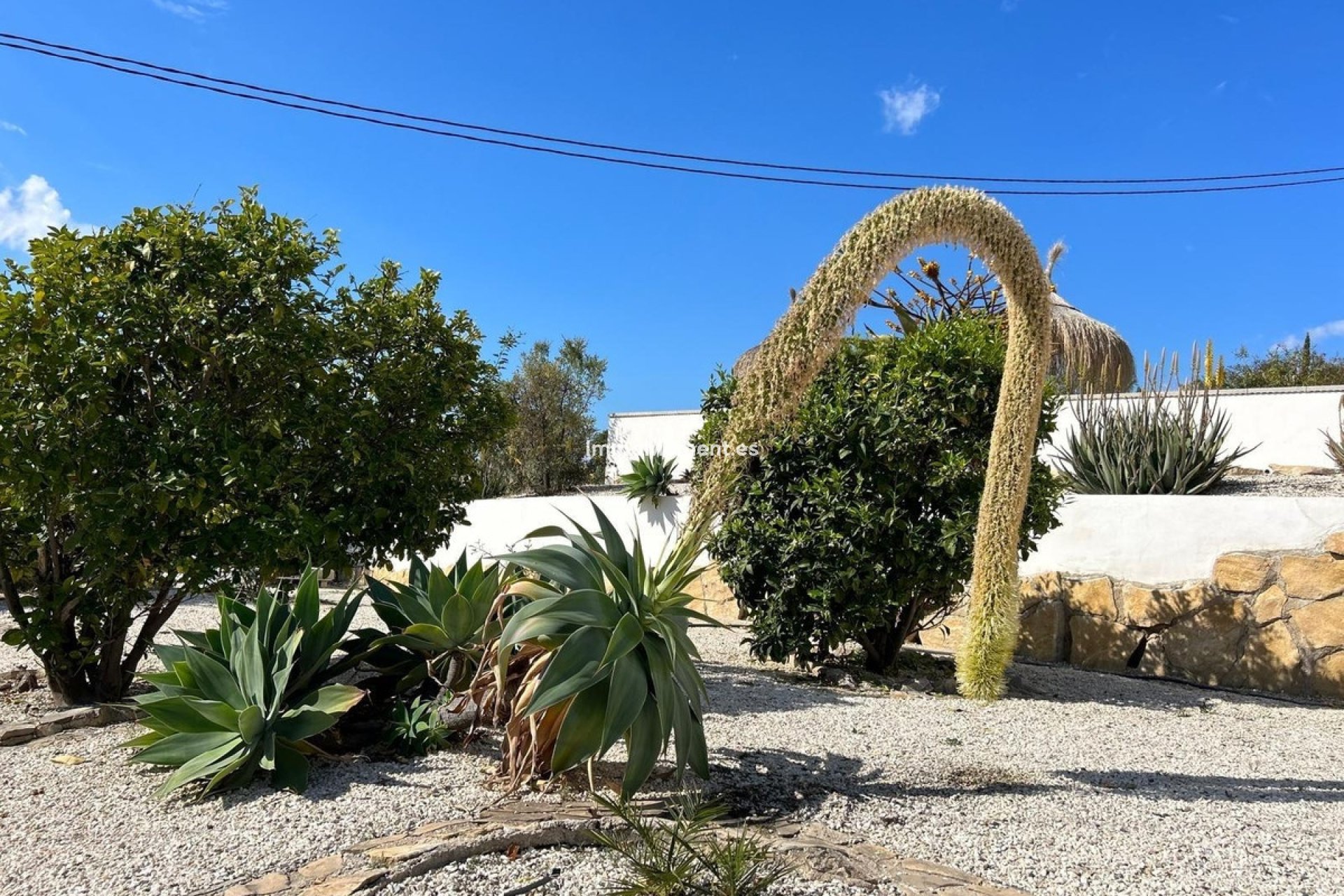 Resale - Detached villa - Villajoyosa - Villajoyosa Centro