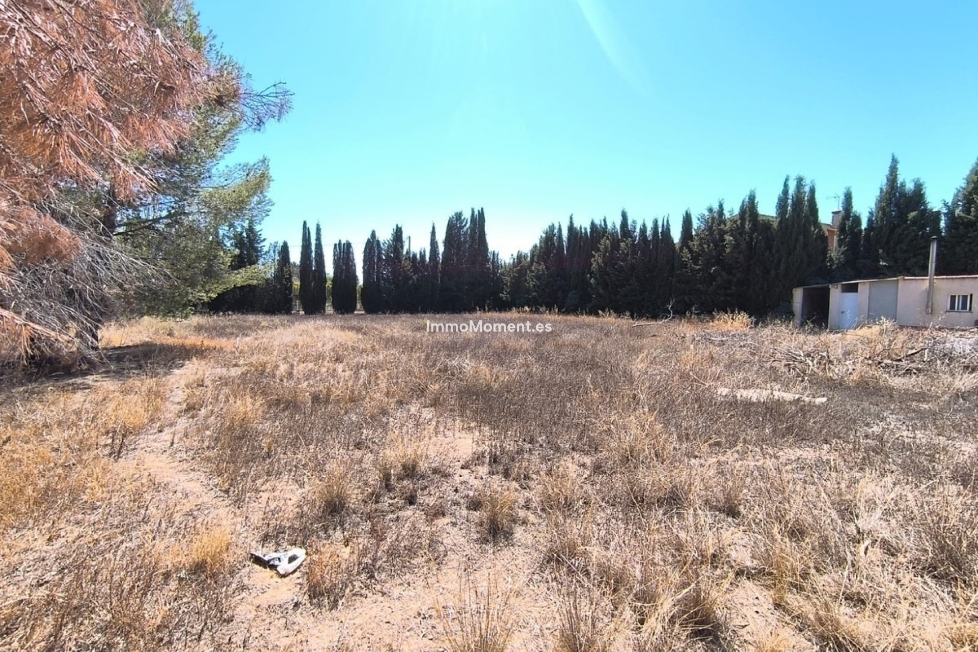 Resale - Detached villa - Yecla - Yecla Centro