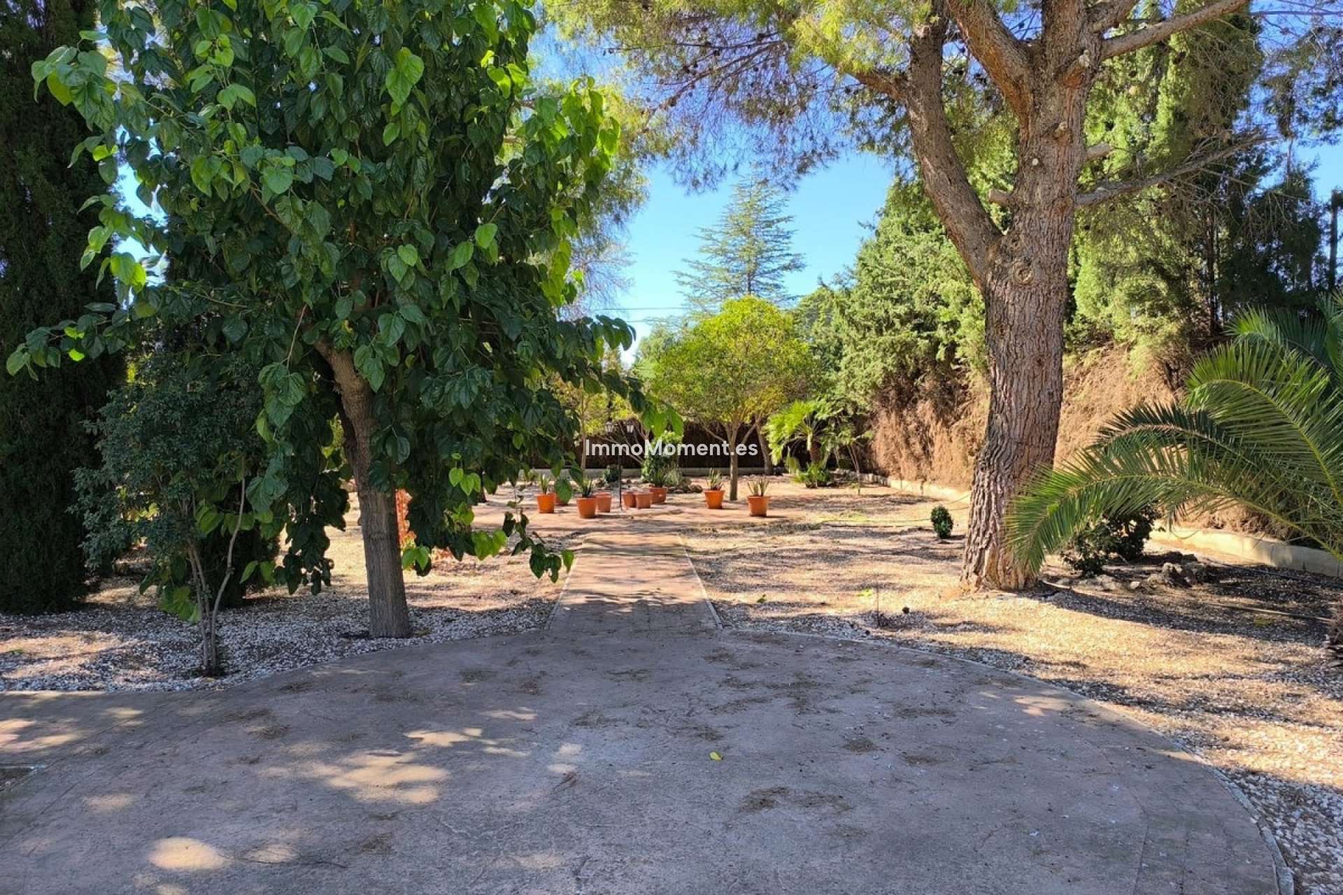 Resale - Detached villa - Yecla - Yecla Centro
