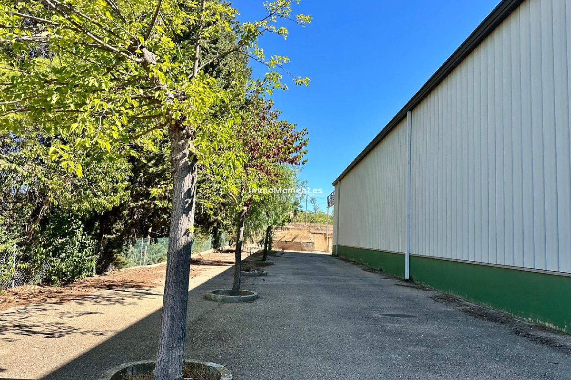Resale - Detached villa - Yecla - Yecla Centro