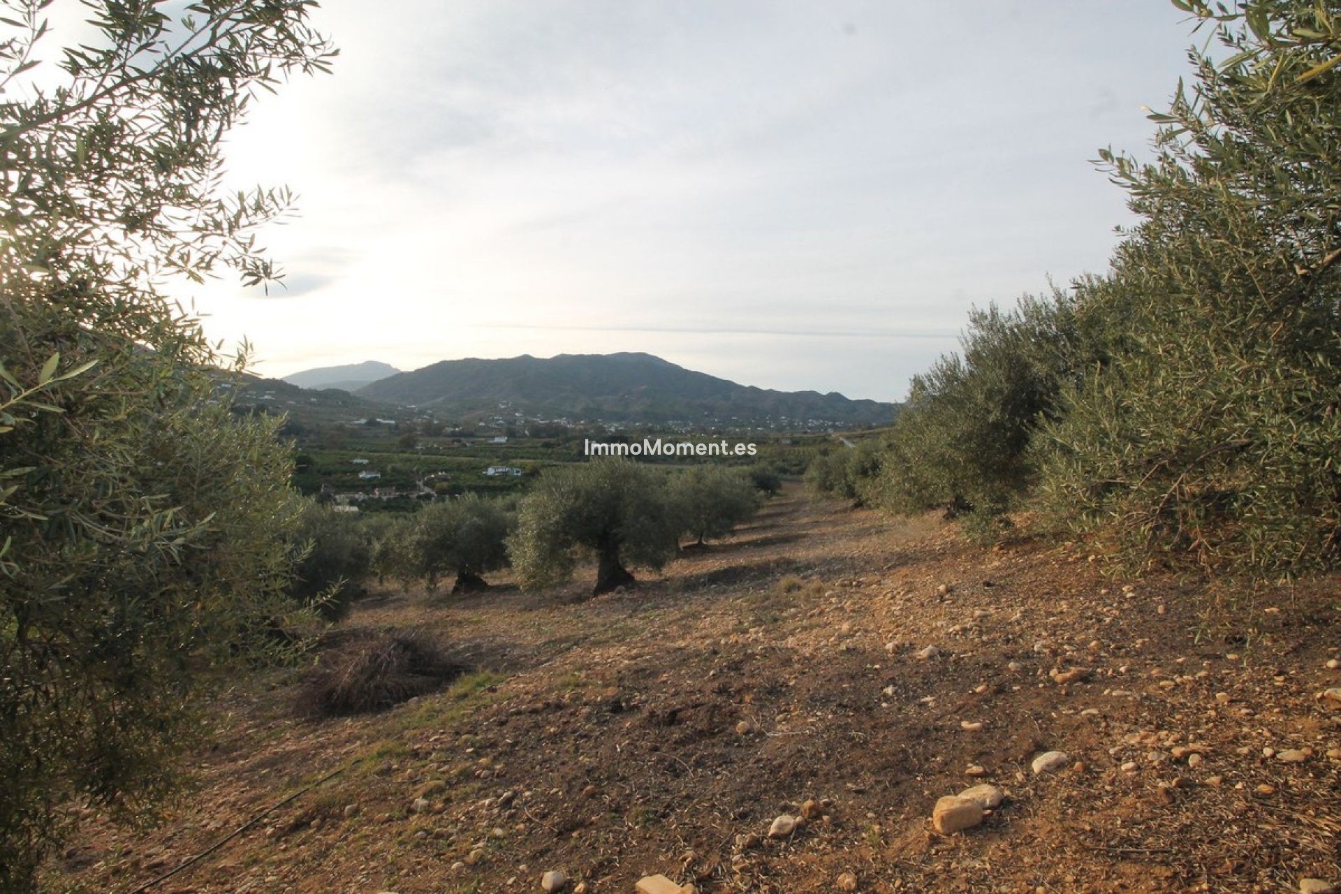 Resale - Land - Inland  - Alora