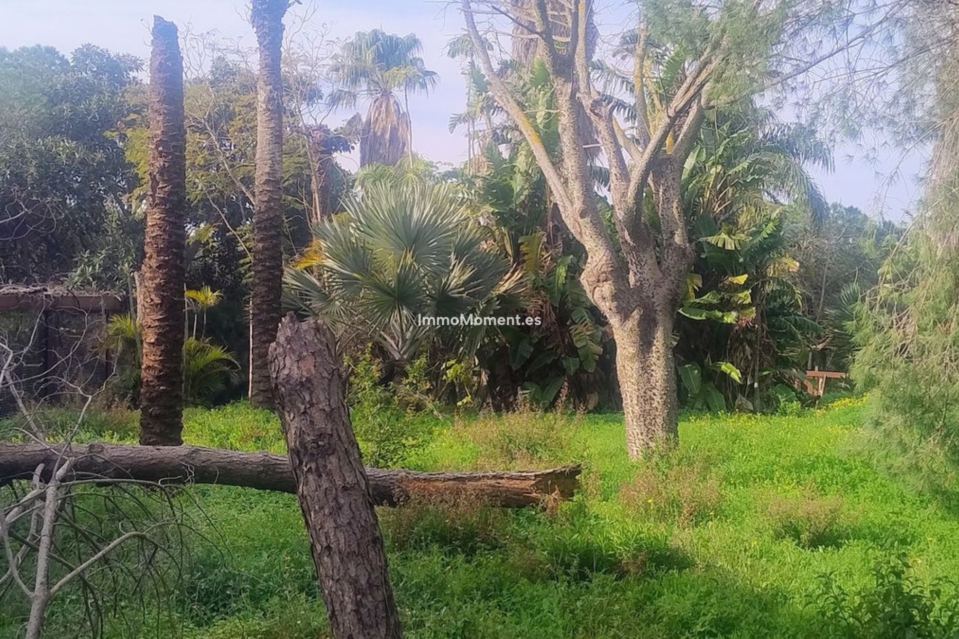Resale - Land - Marbella - Hacienda Las Chapas